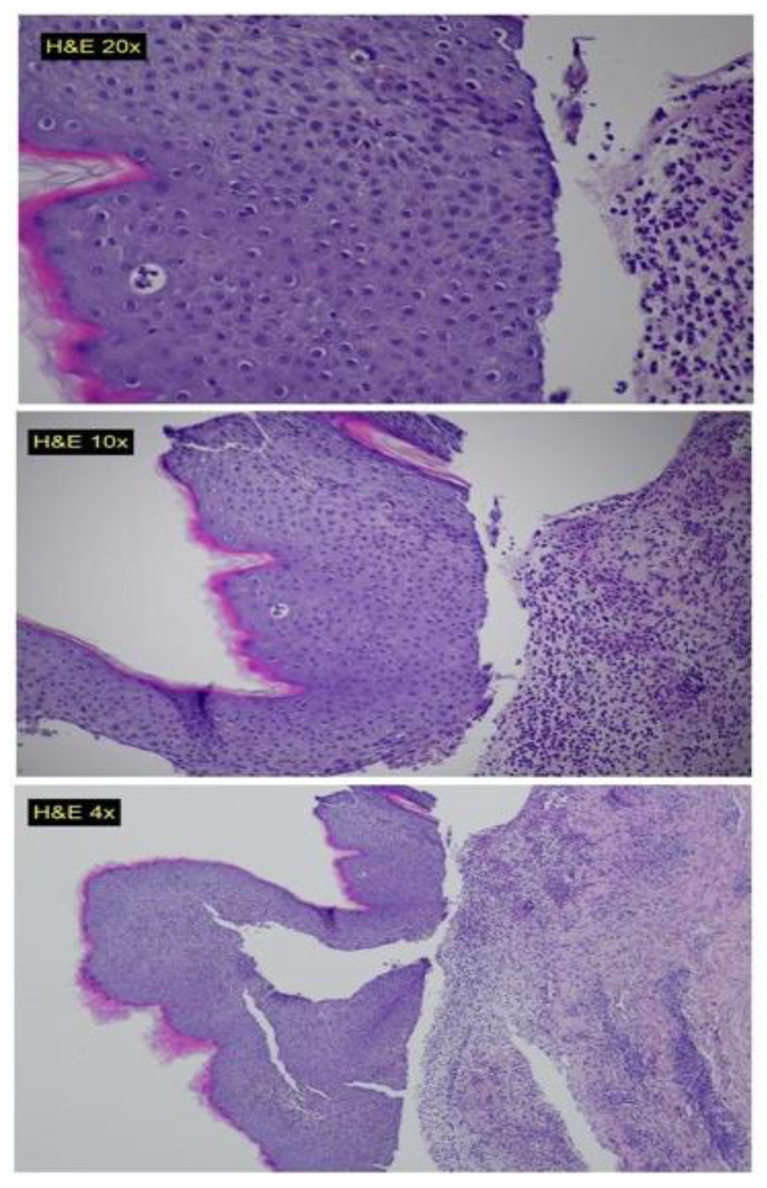 Clinpract 13 00096 g001