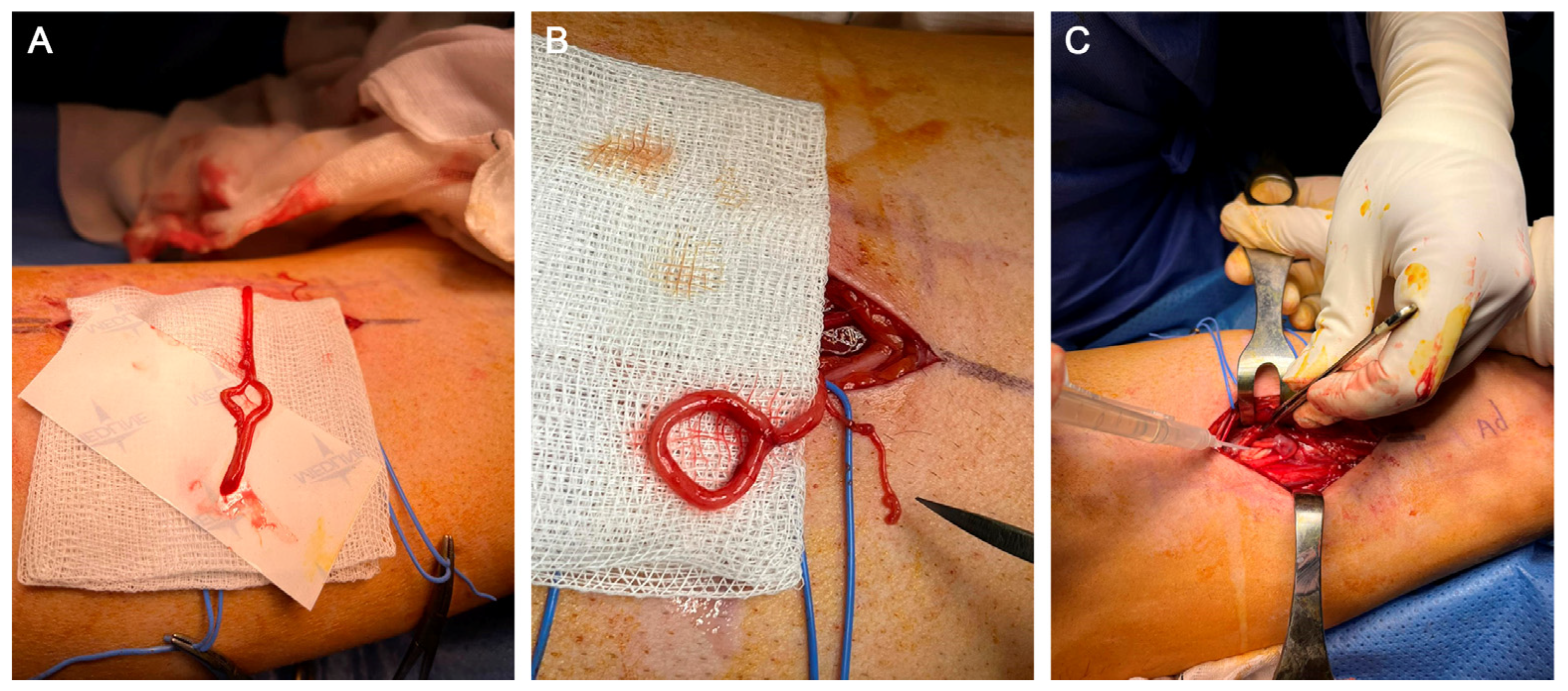 Clinpract 13 00097 g004