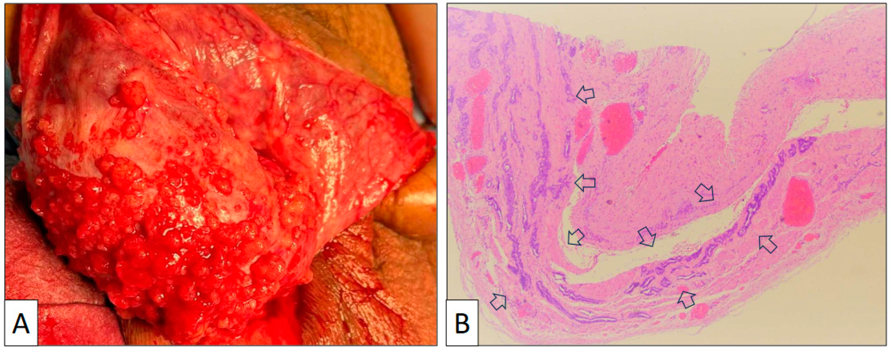 Clinpract 13 00101 g001