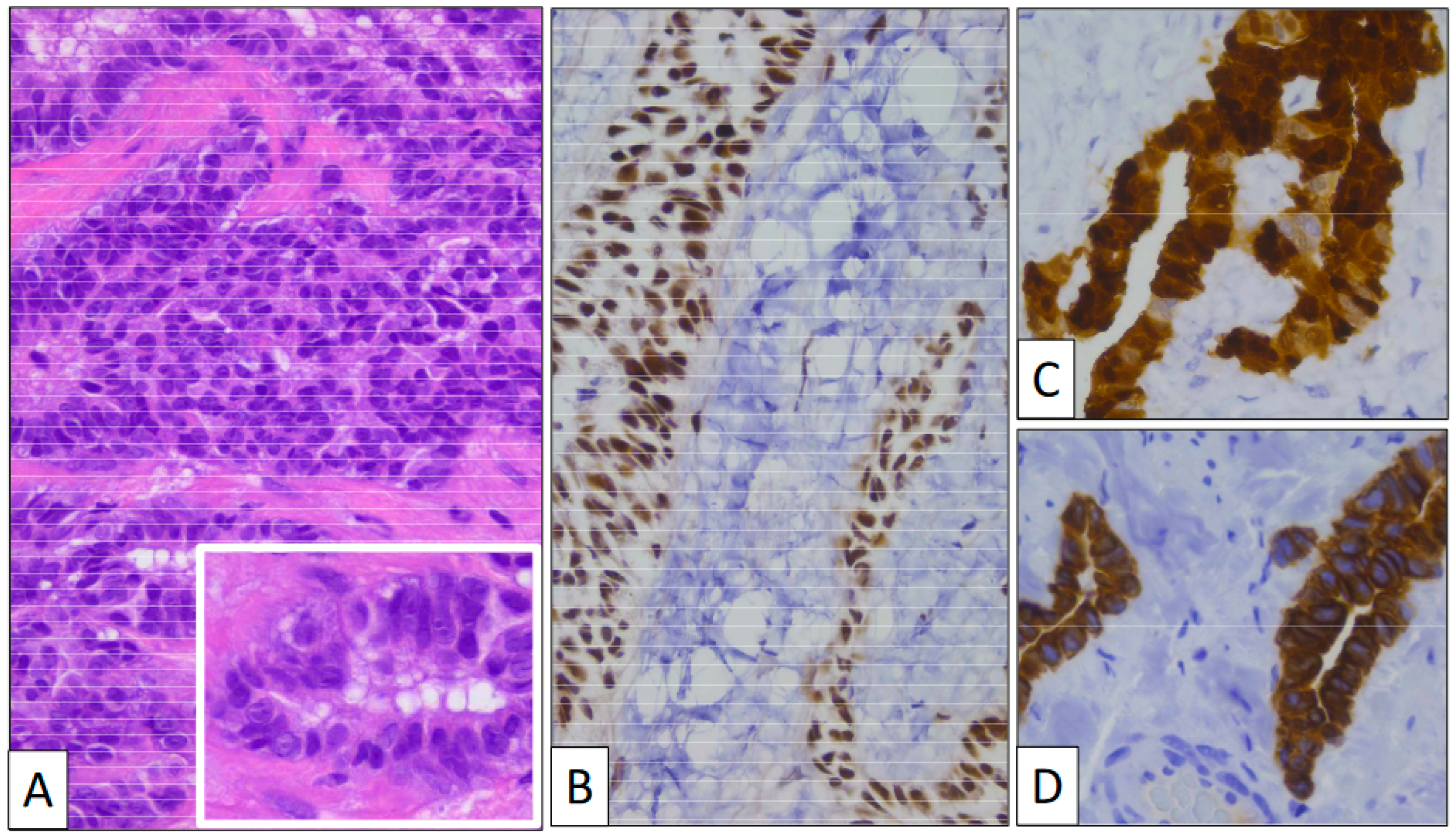 Clinpract 13 00101 g002