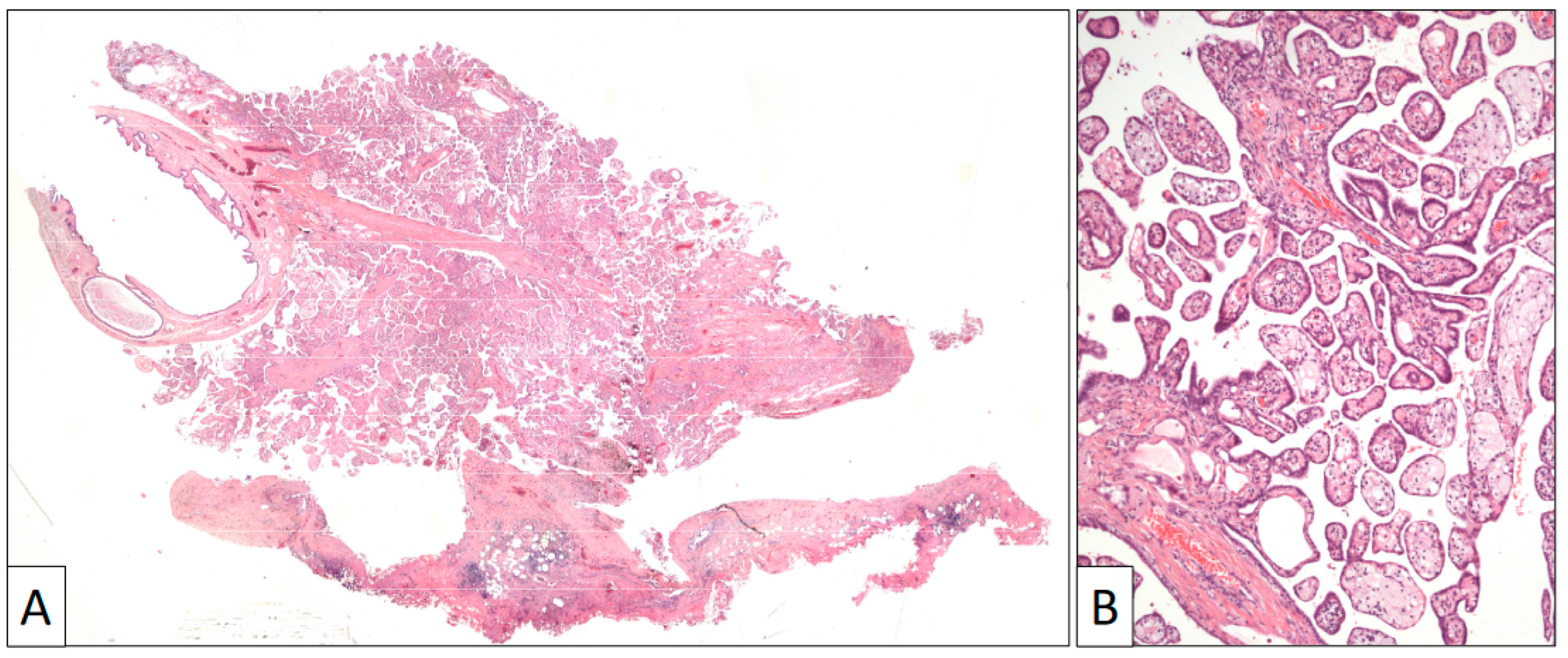 Clinpract 13 00101 g003