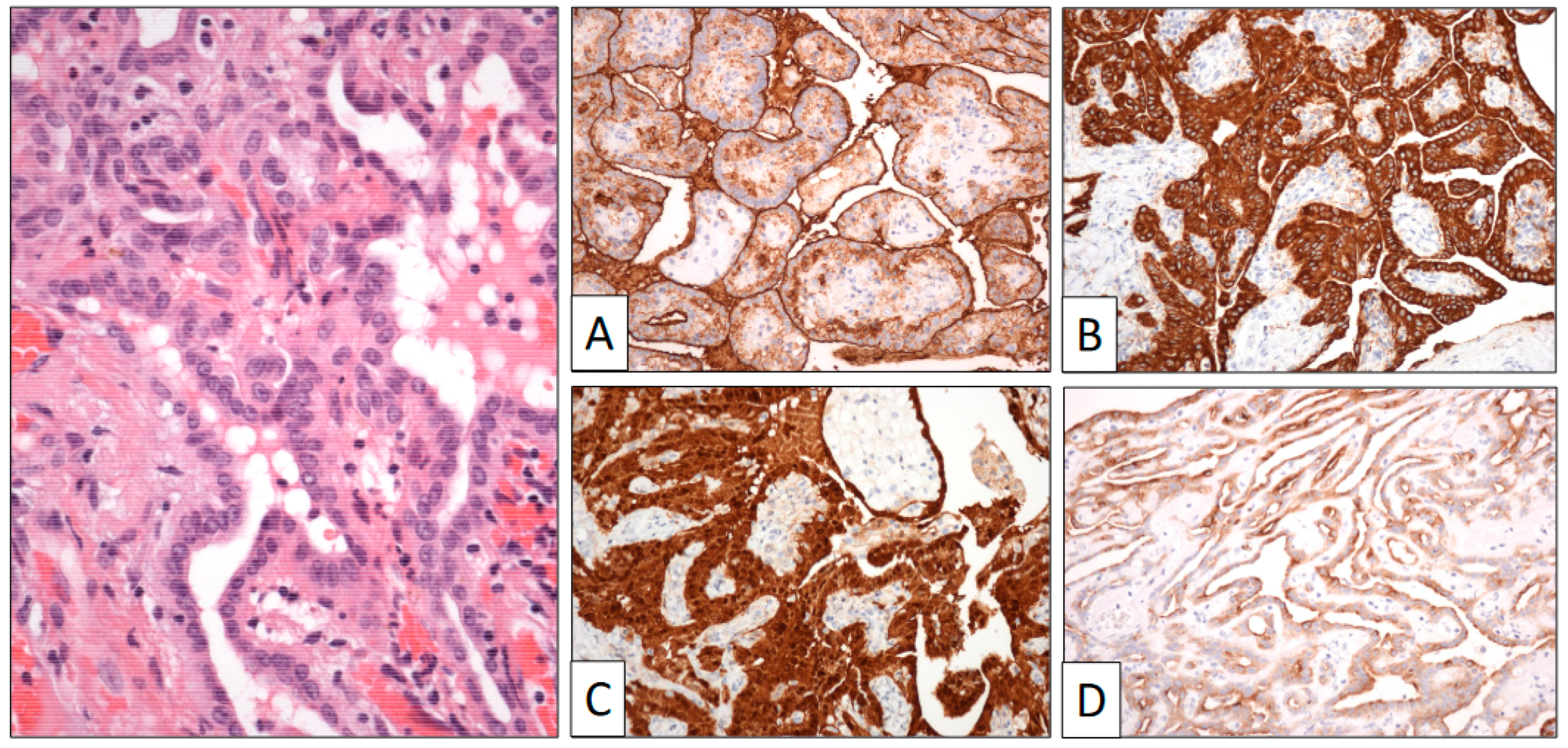 Clinpract 13 00101 g004