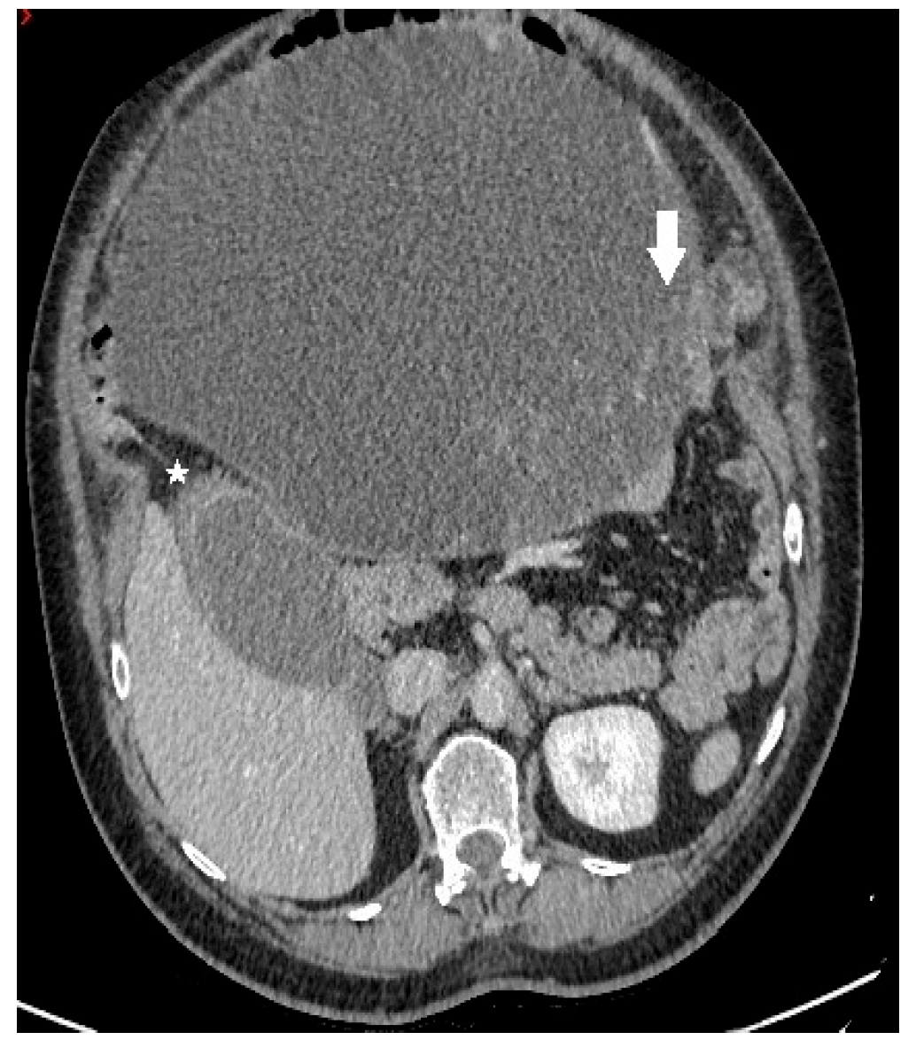 Clinpract 13 00102 g001