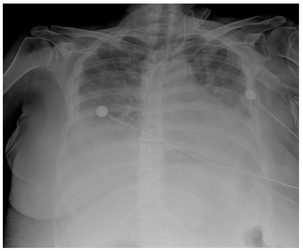 Clinpract 13 00102 g005