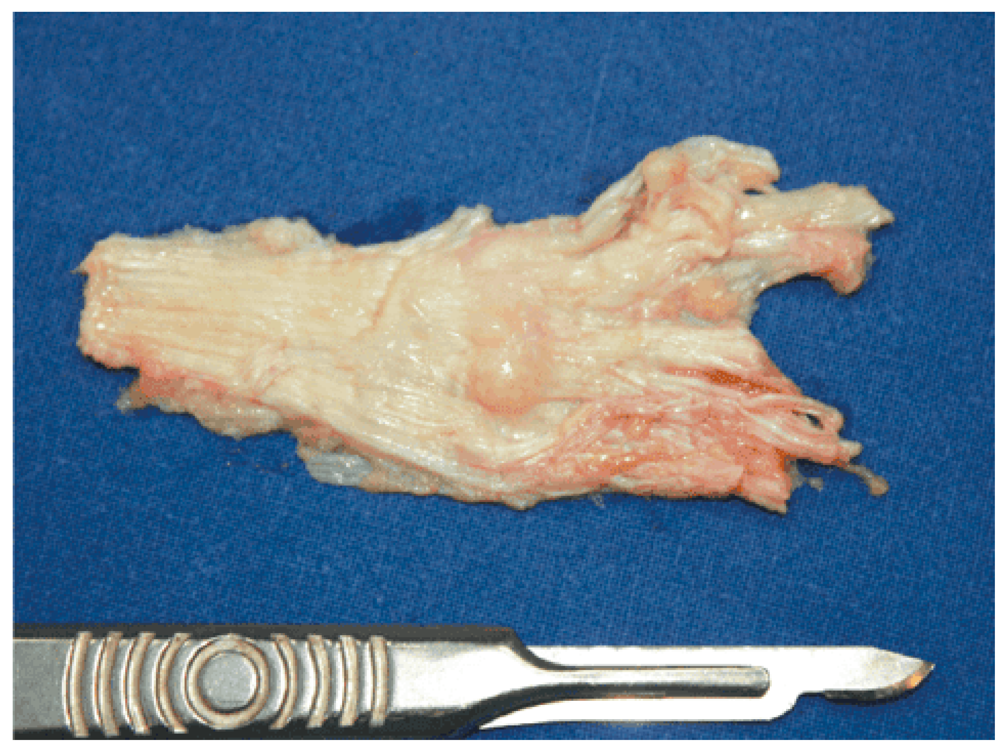 Clinpract 13 00106 g004