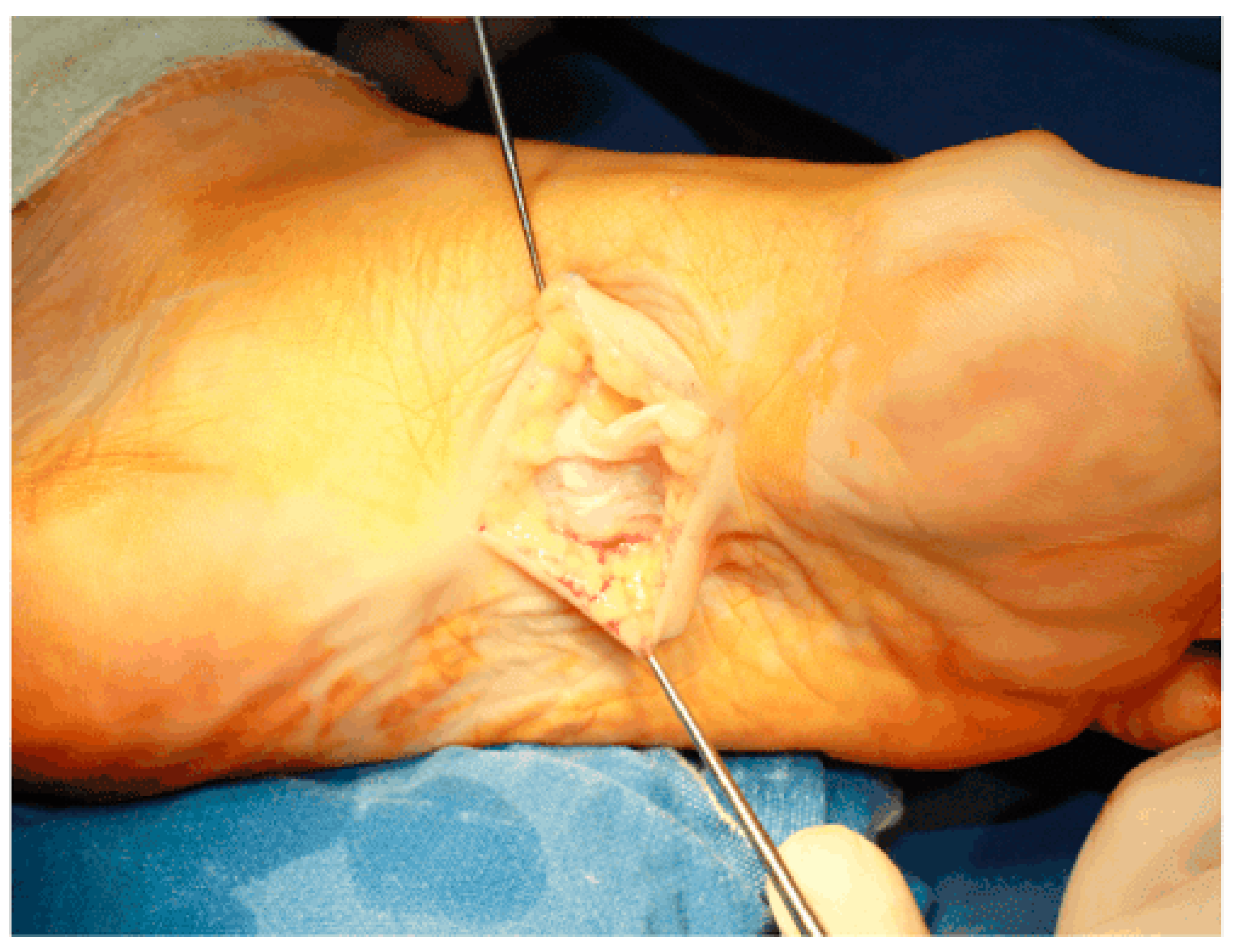 Clinpract 13 00106 g005