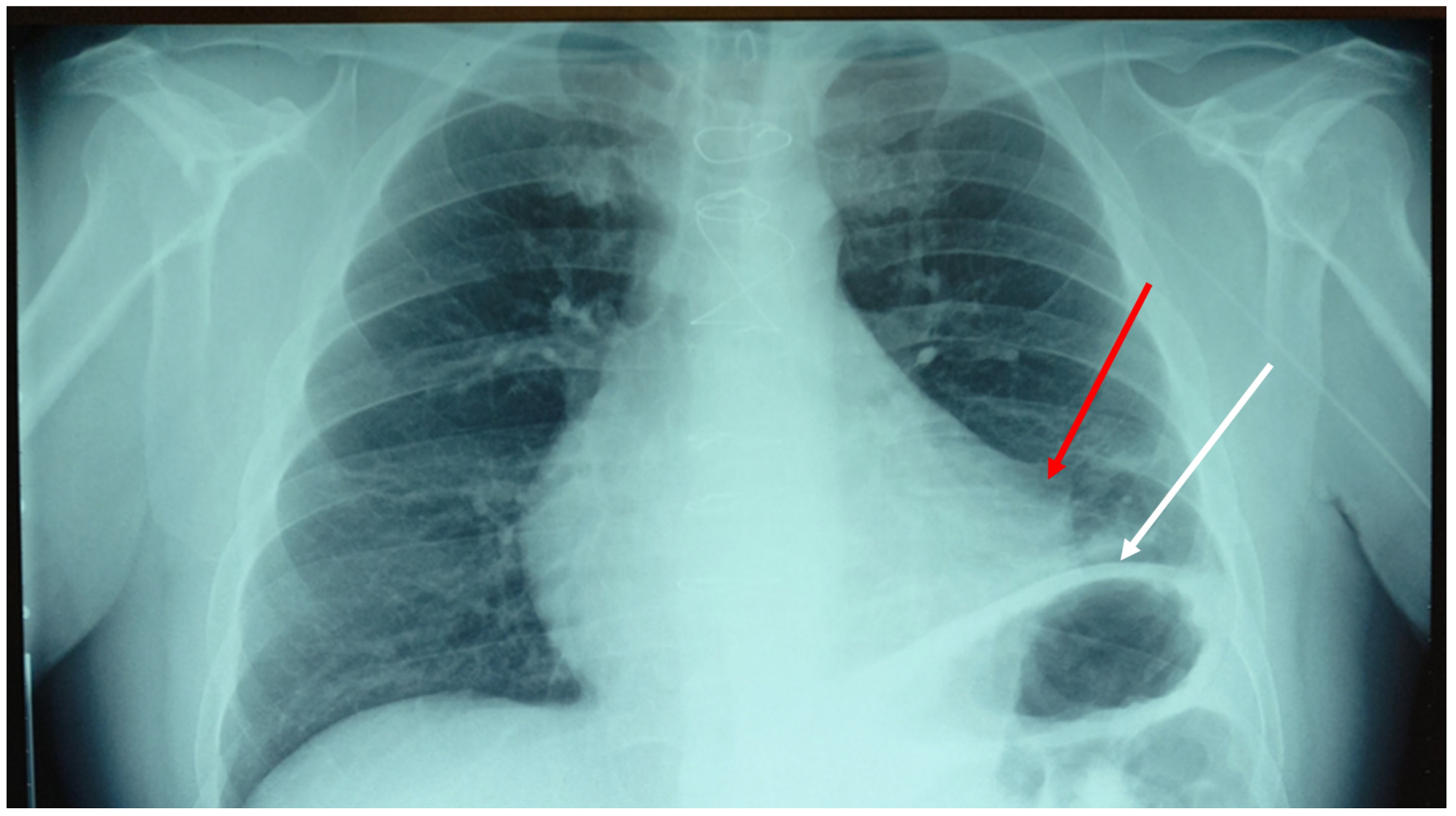 Clinpract 13 00117 g001