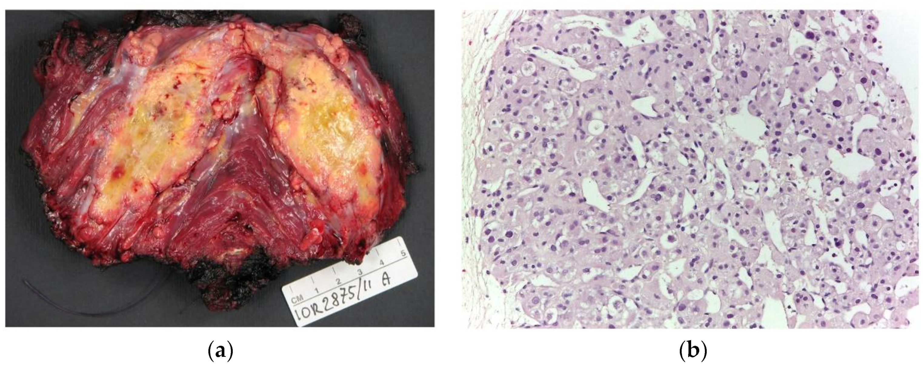 Clinpract 13 00123 g001