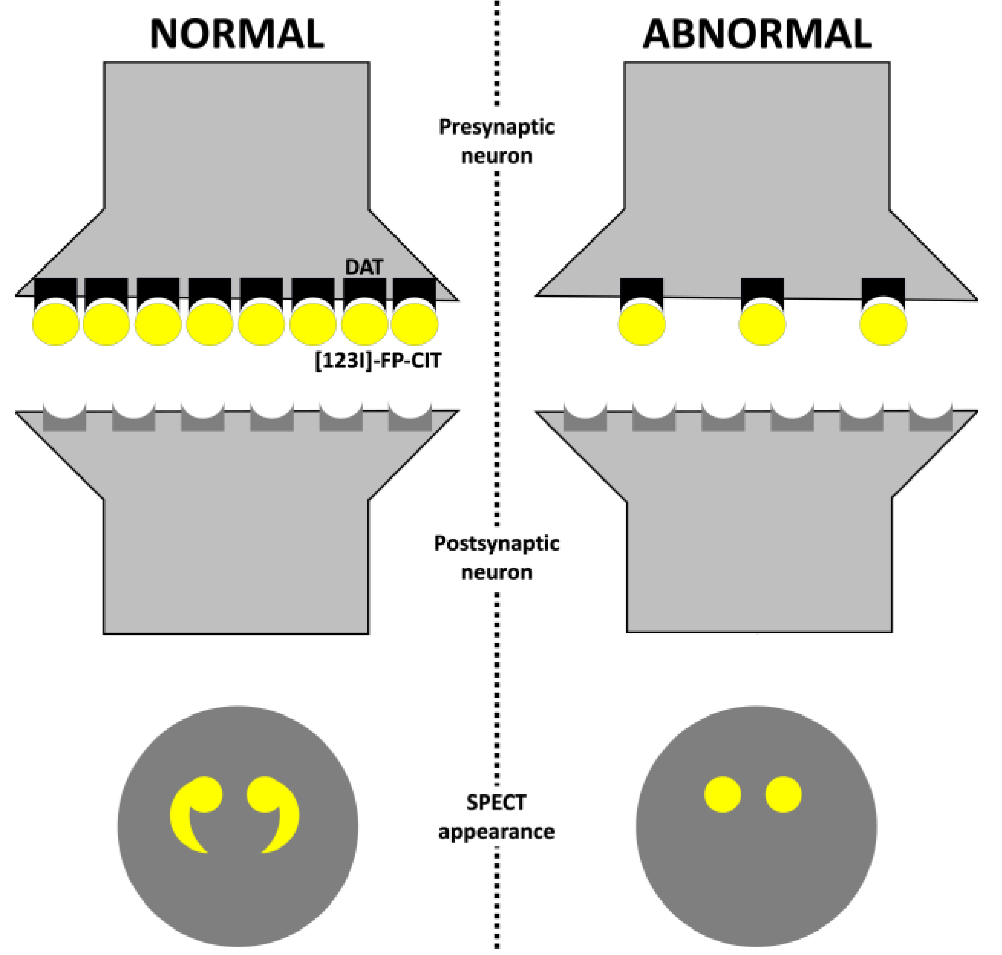 Clinpract 13 00128 g002