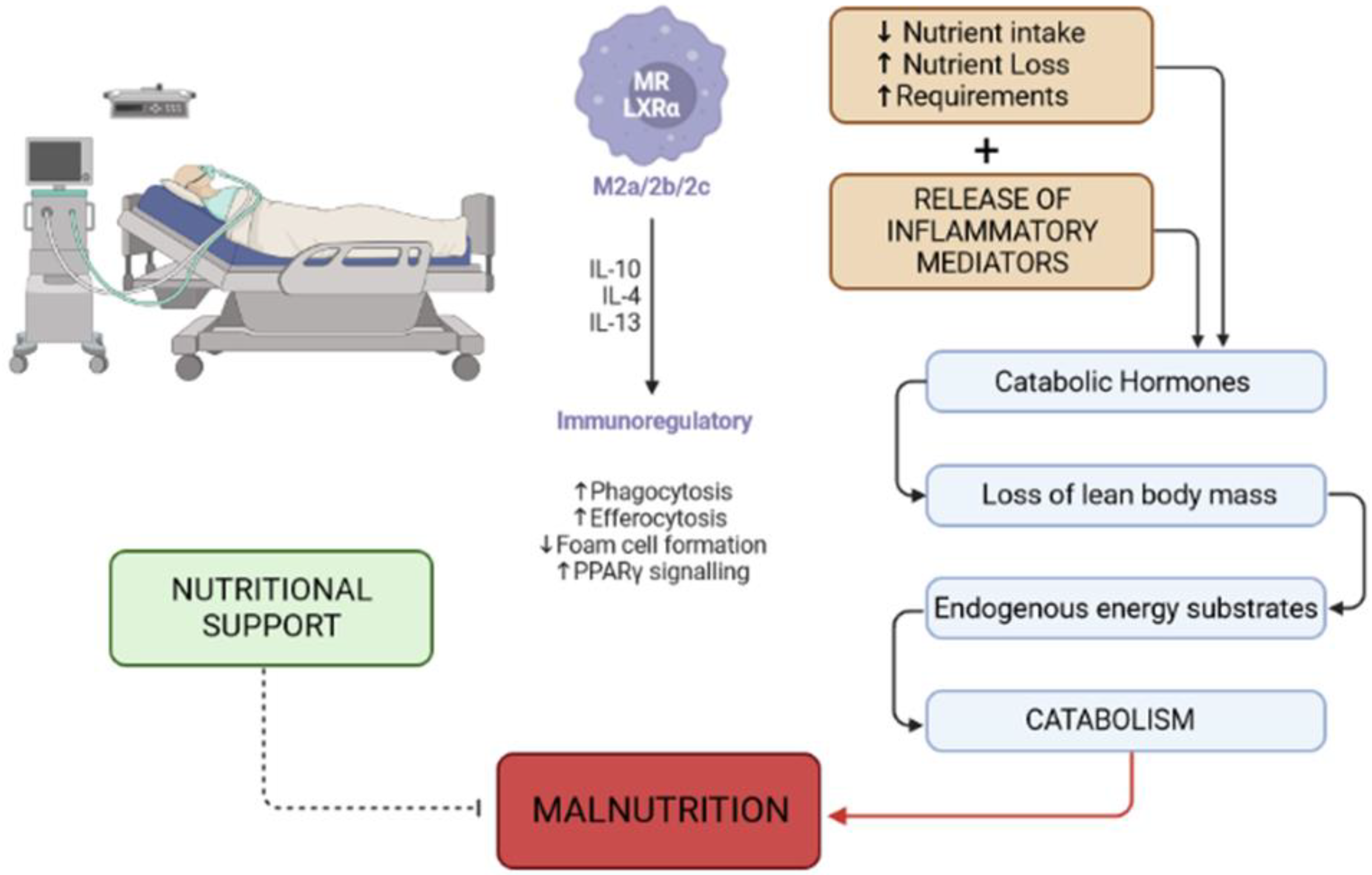 Clinpract 13 00138 g001