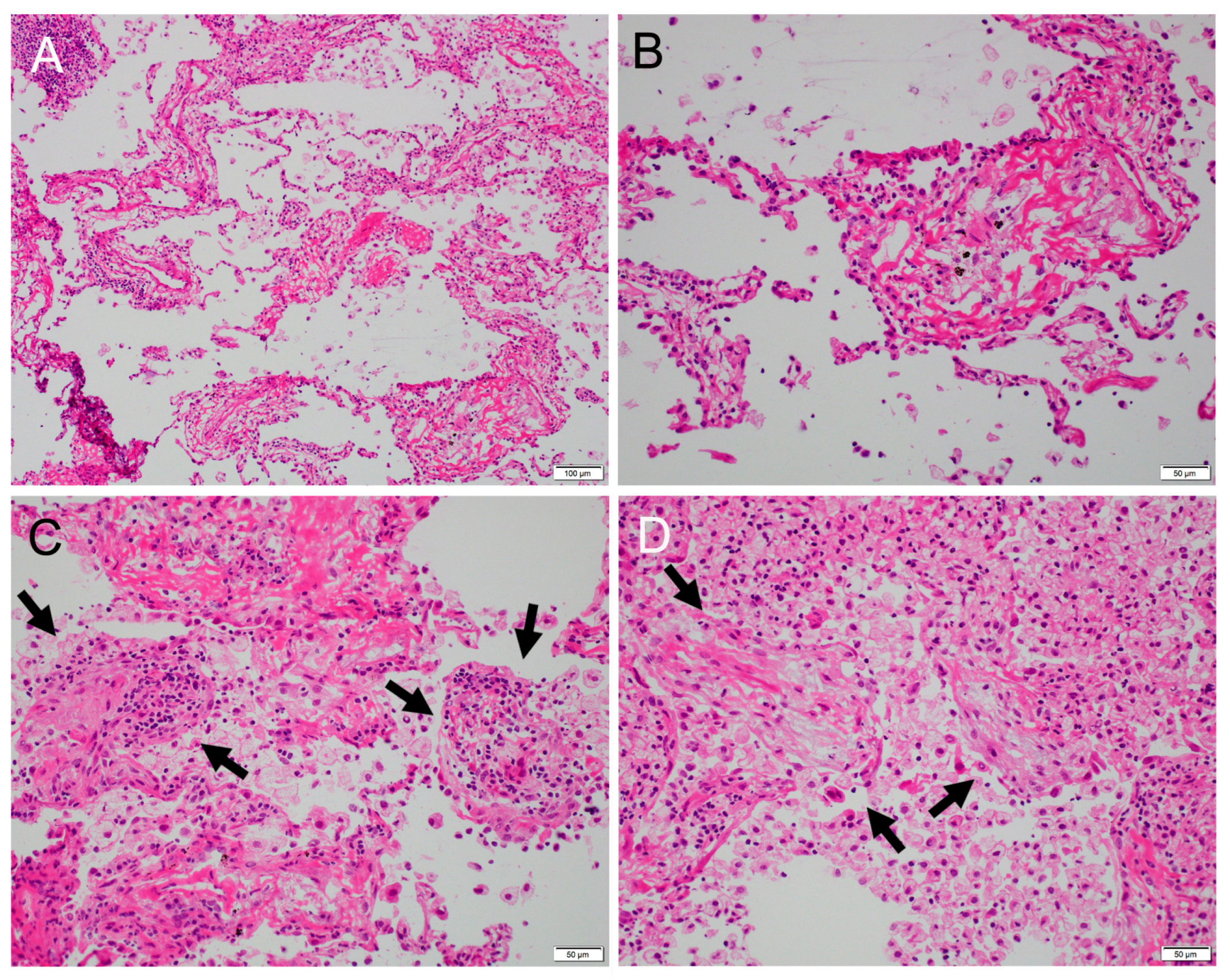 Clinpract 14 00019 g002