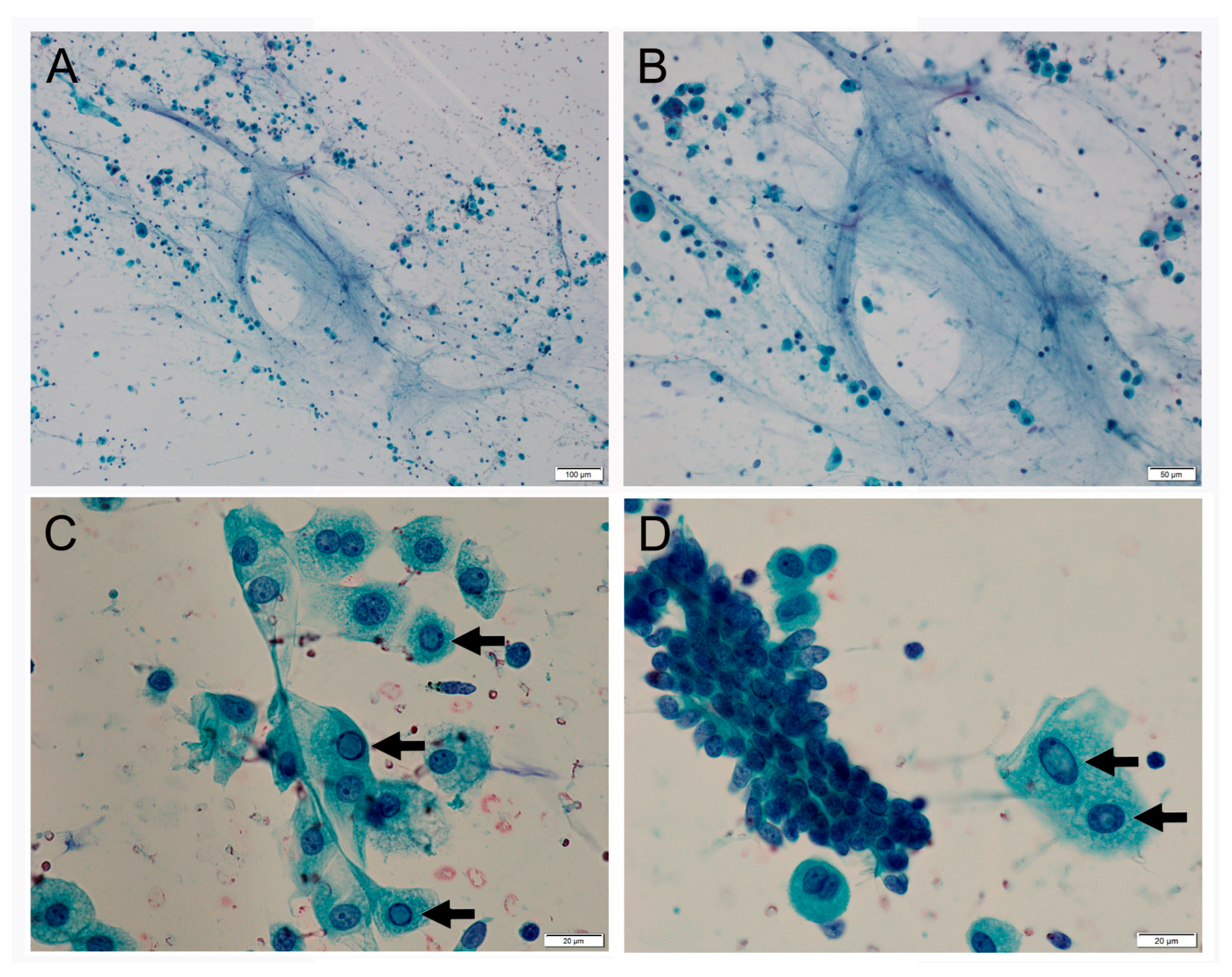 Clinpract 14 00019 g003