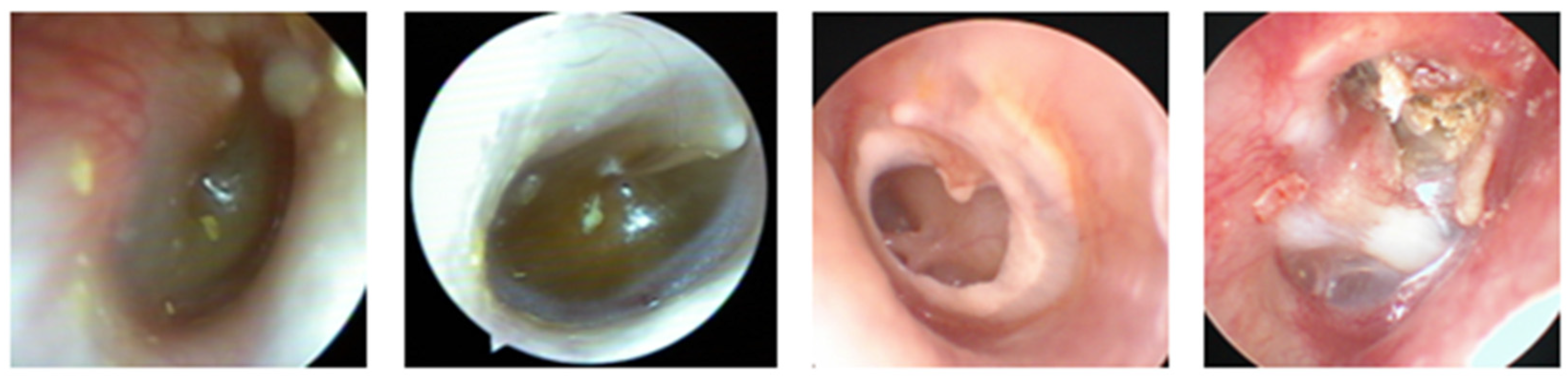 Clinpract 14 00023 g001