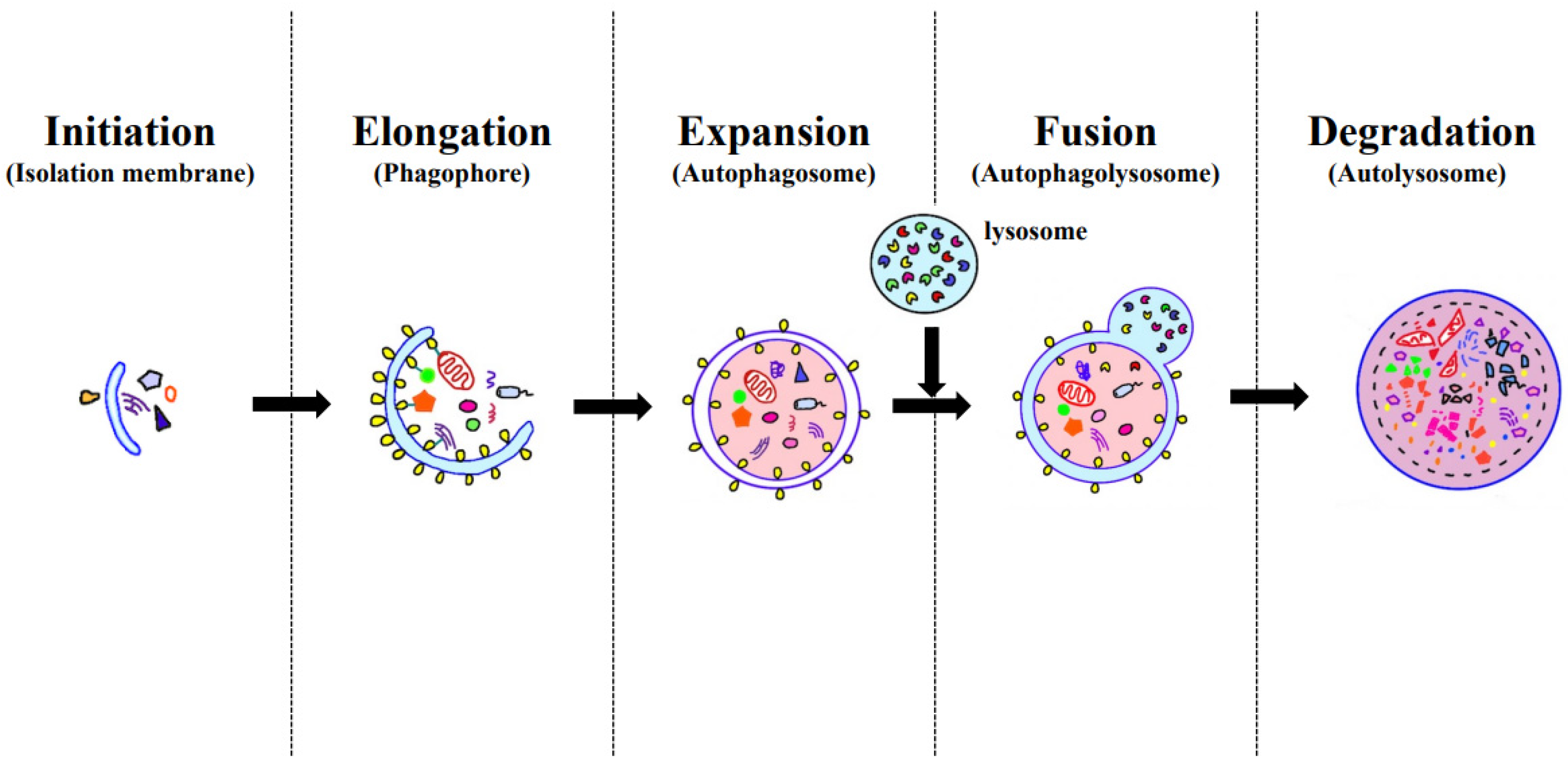 Clinpract 14 00023 g002
