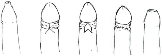 Clinpract 14 00028 g004