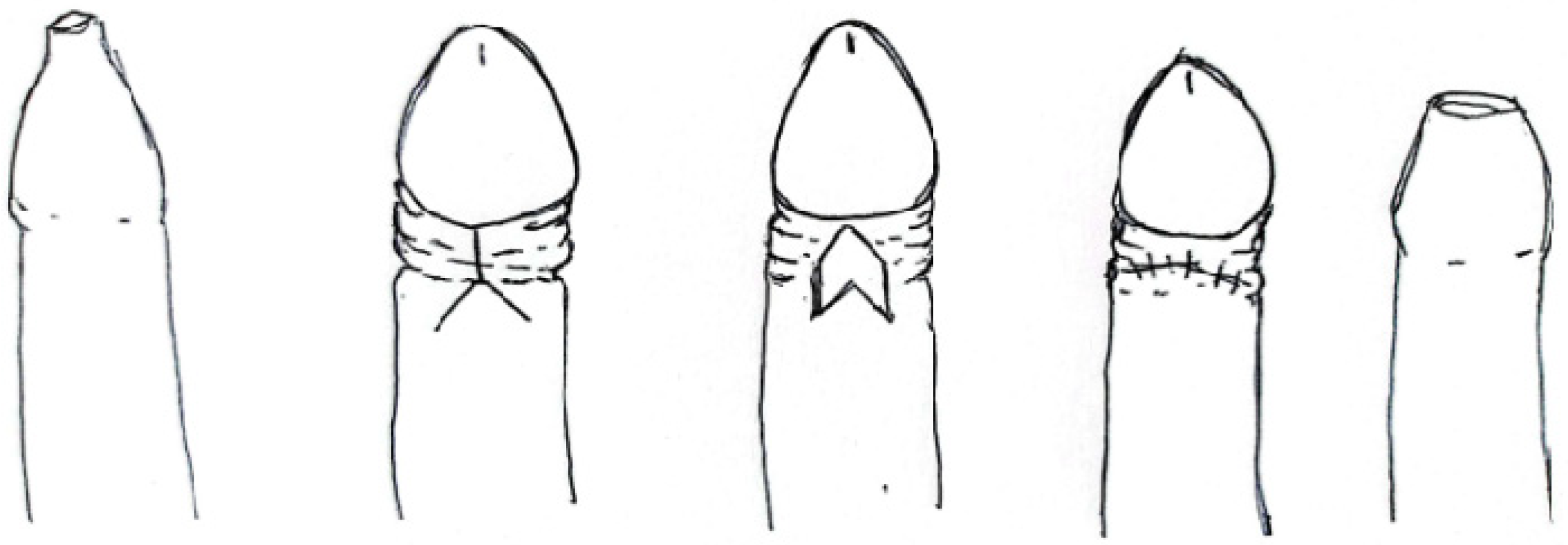 Clinpract 14 00028 g004