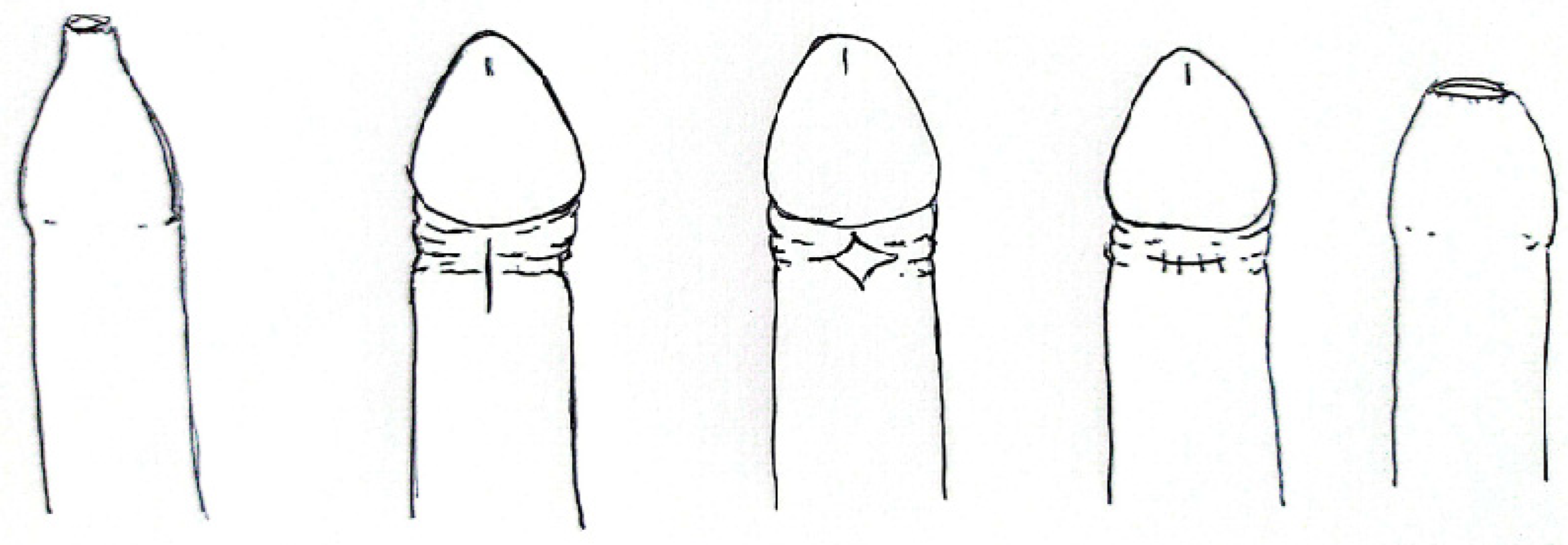 Clinpract 14 00028 g005