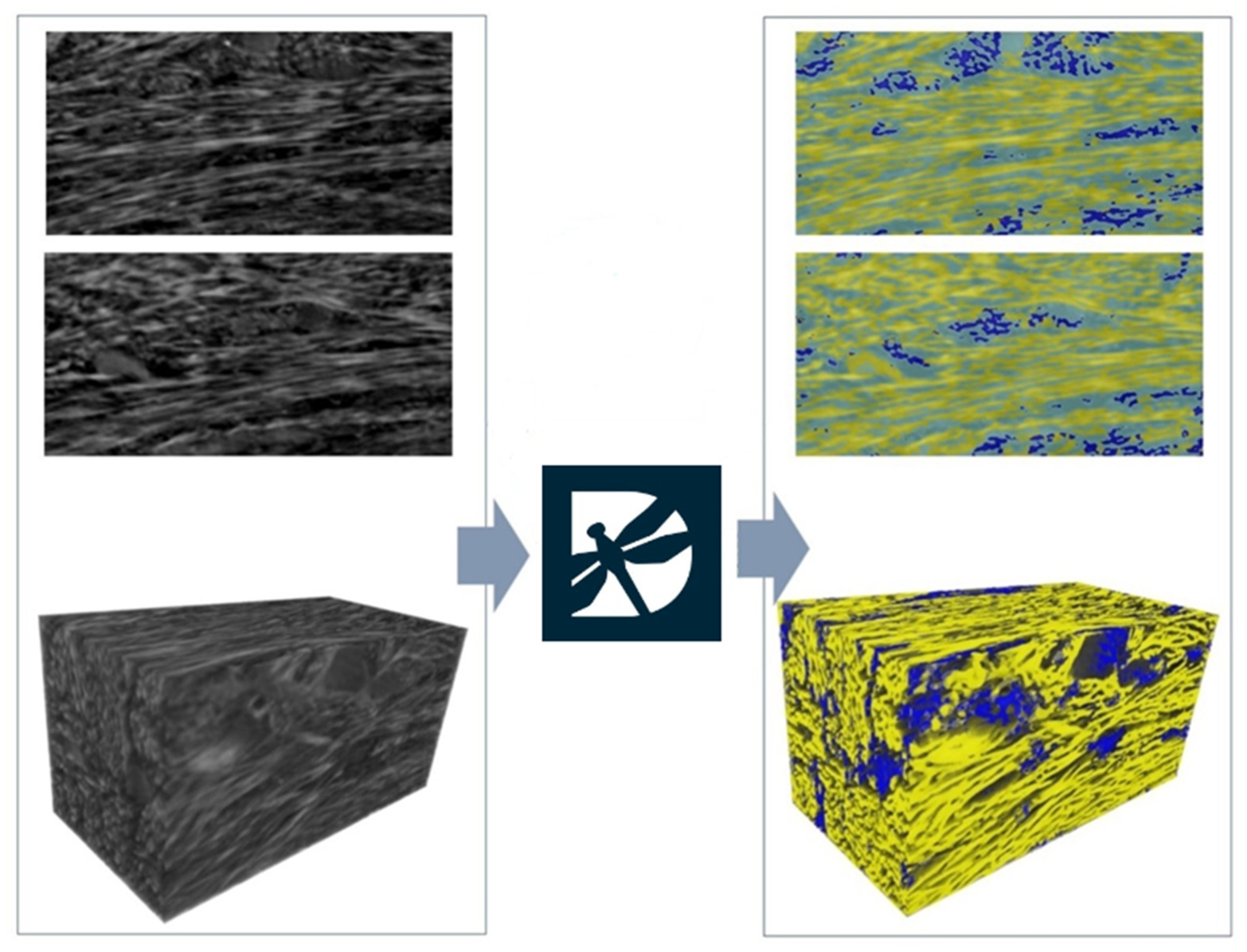 Clinpract 14 00043 g007