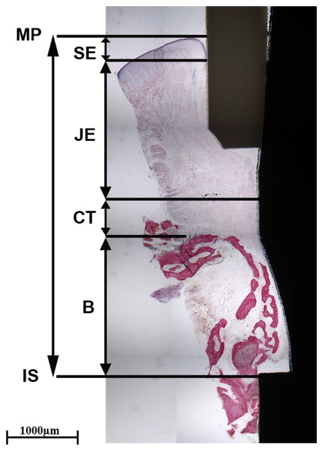 Clinpract 14 00043 g008