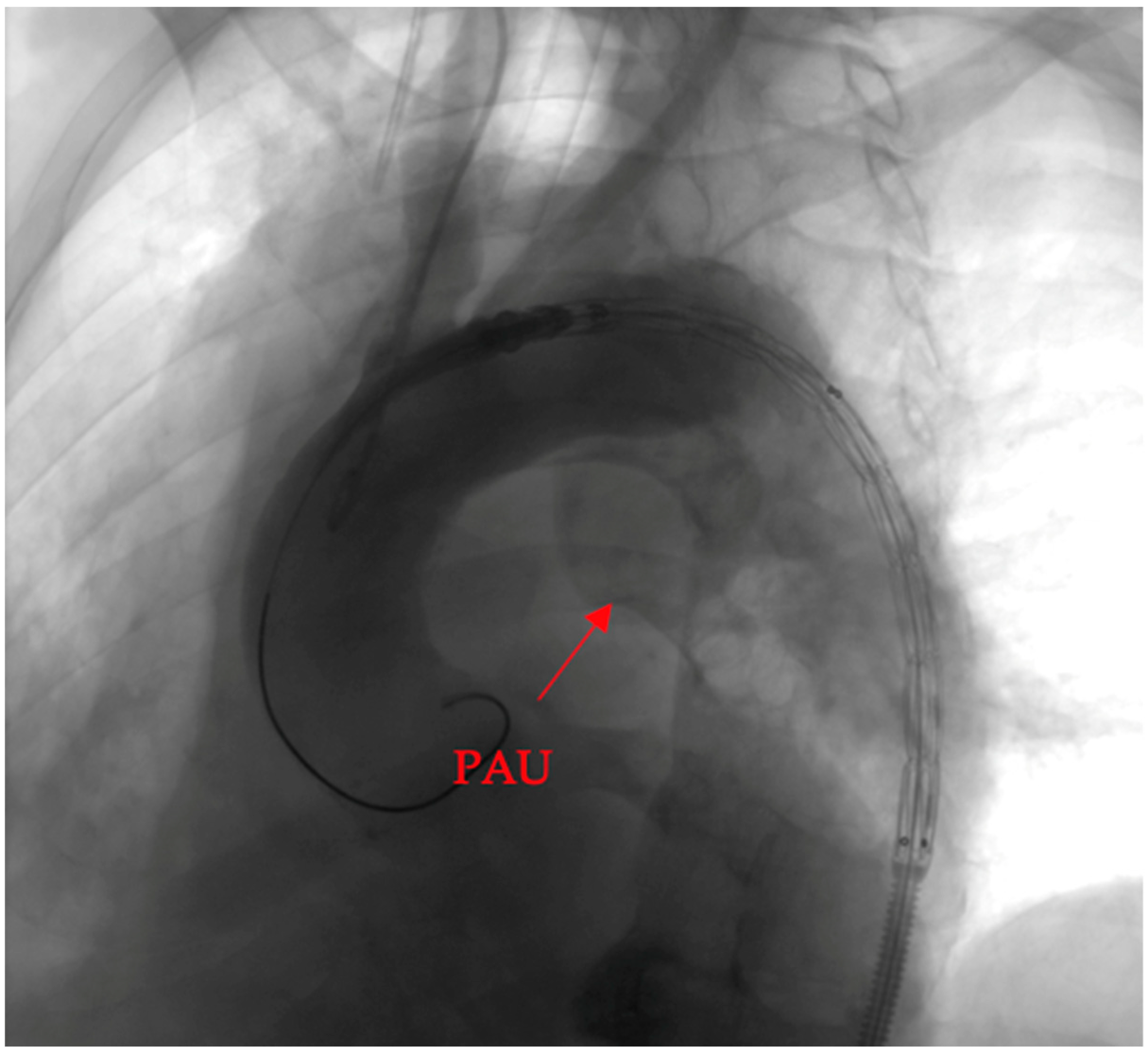Clinpract 14 00049 g004