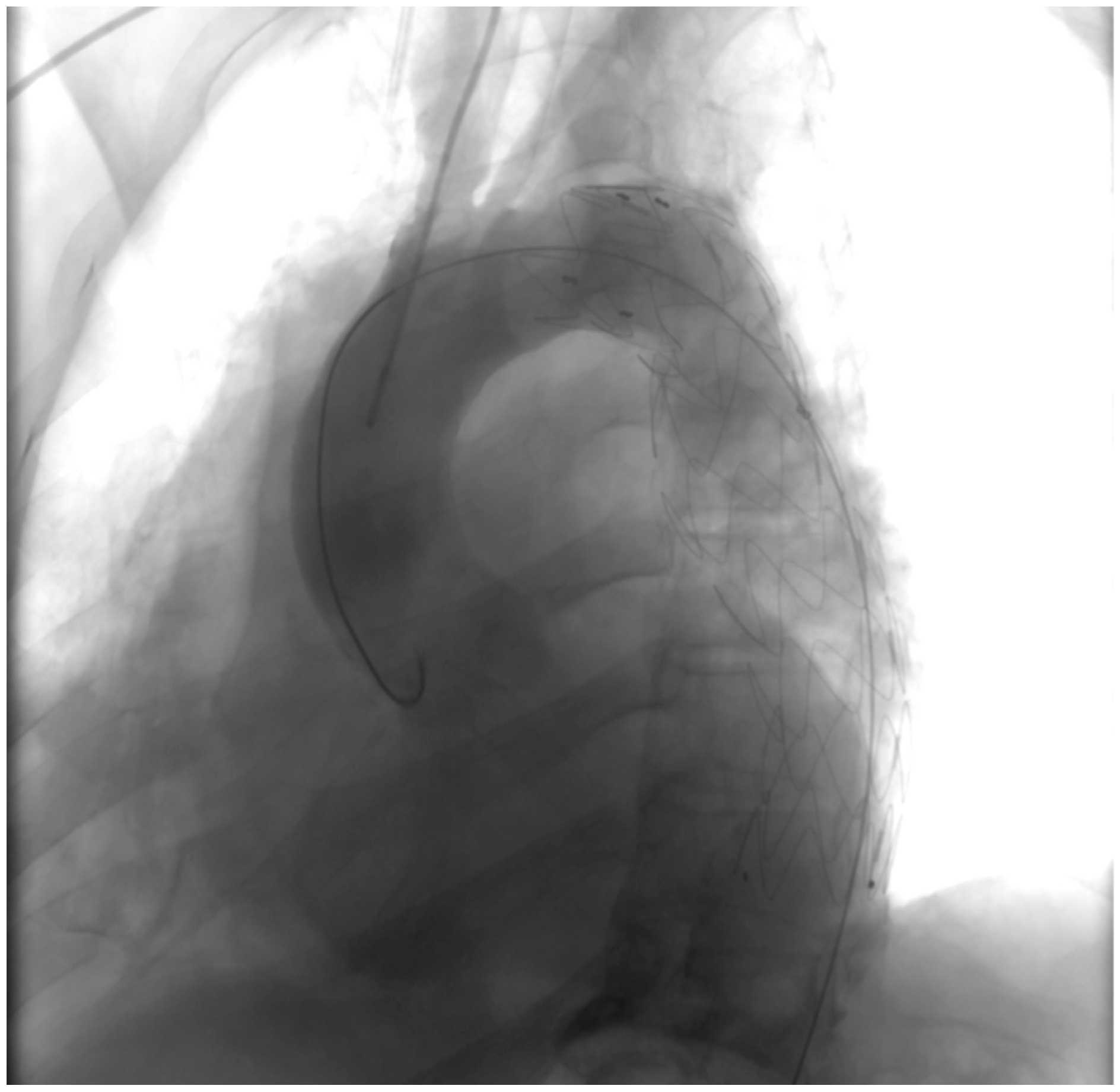 Clinpract 14 00049 g005