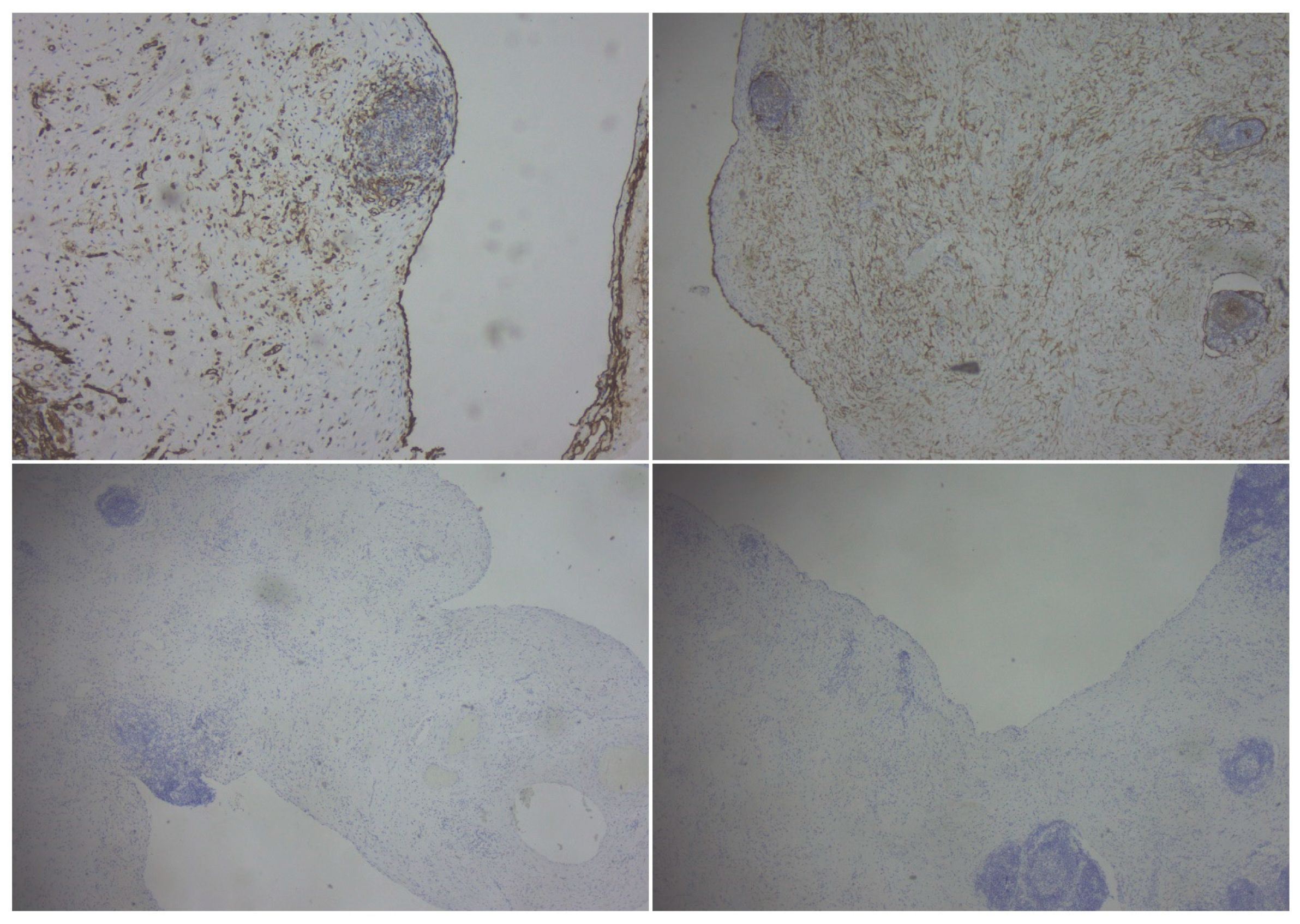 Clinpract 14 00059 g004 Clinpract 14 00059 g004