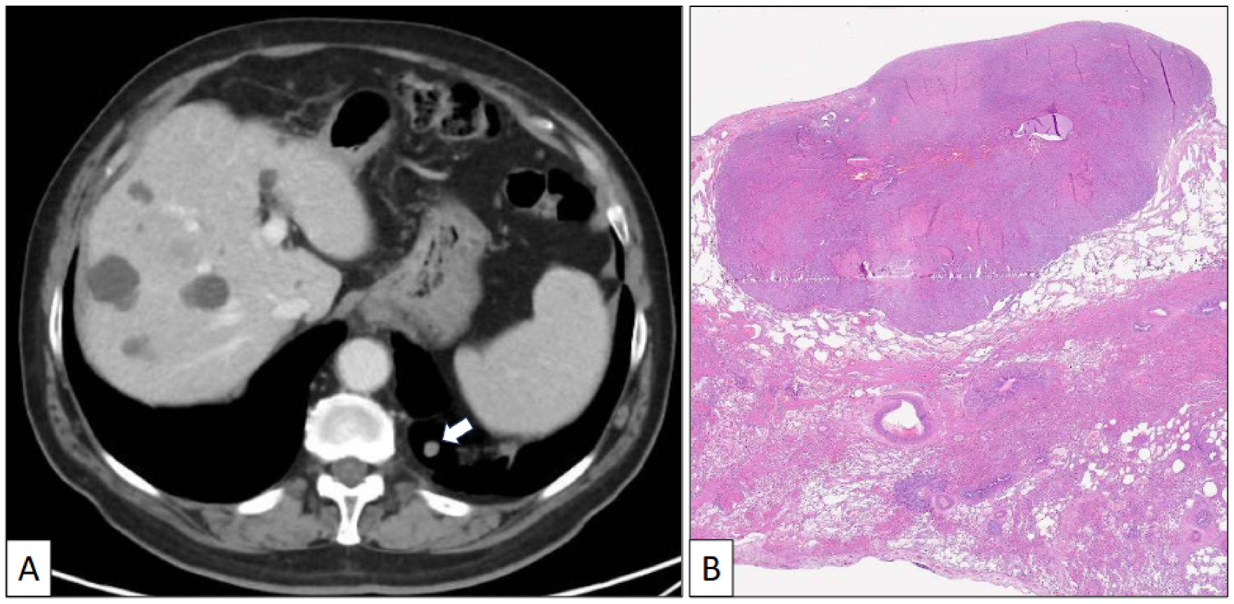 Clinpract 14 00116 g002