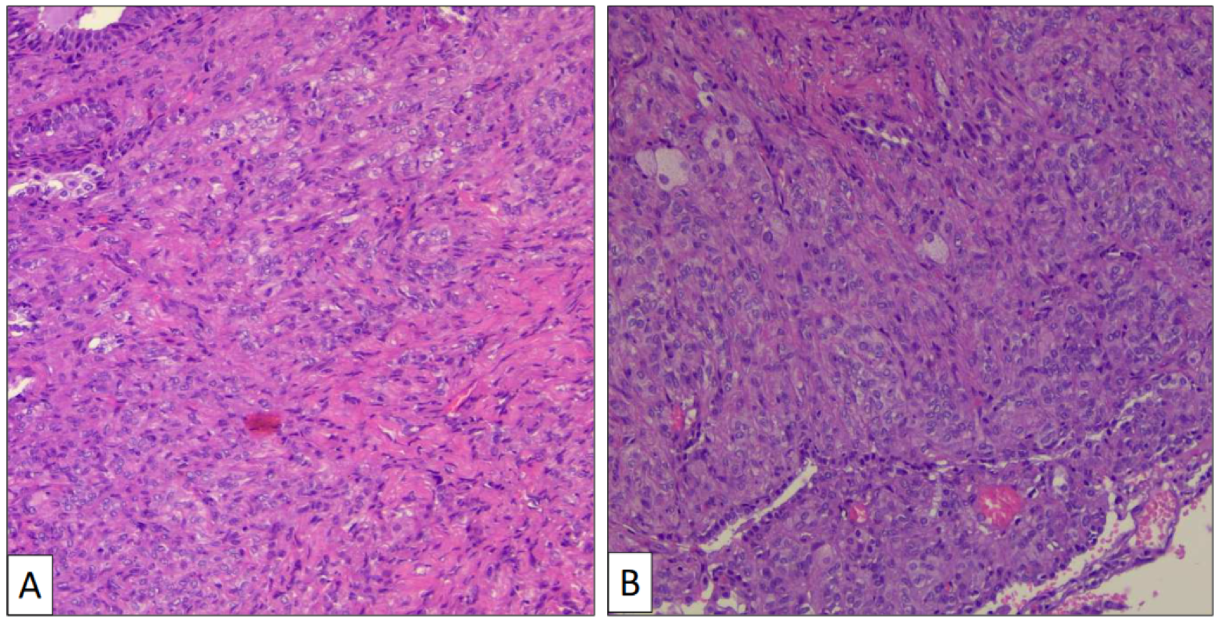 Clinpract 14 00116 g003