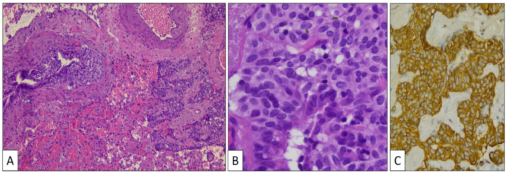 Clinpract 14 00116 g005