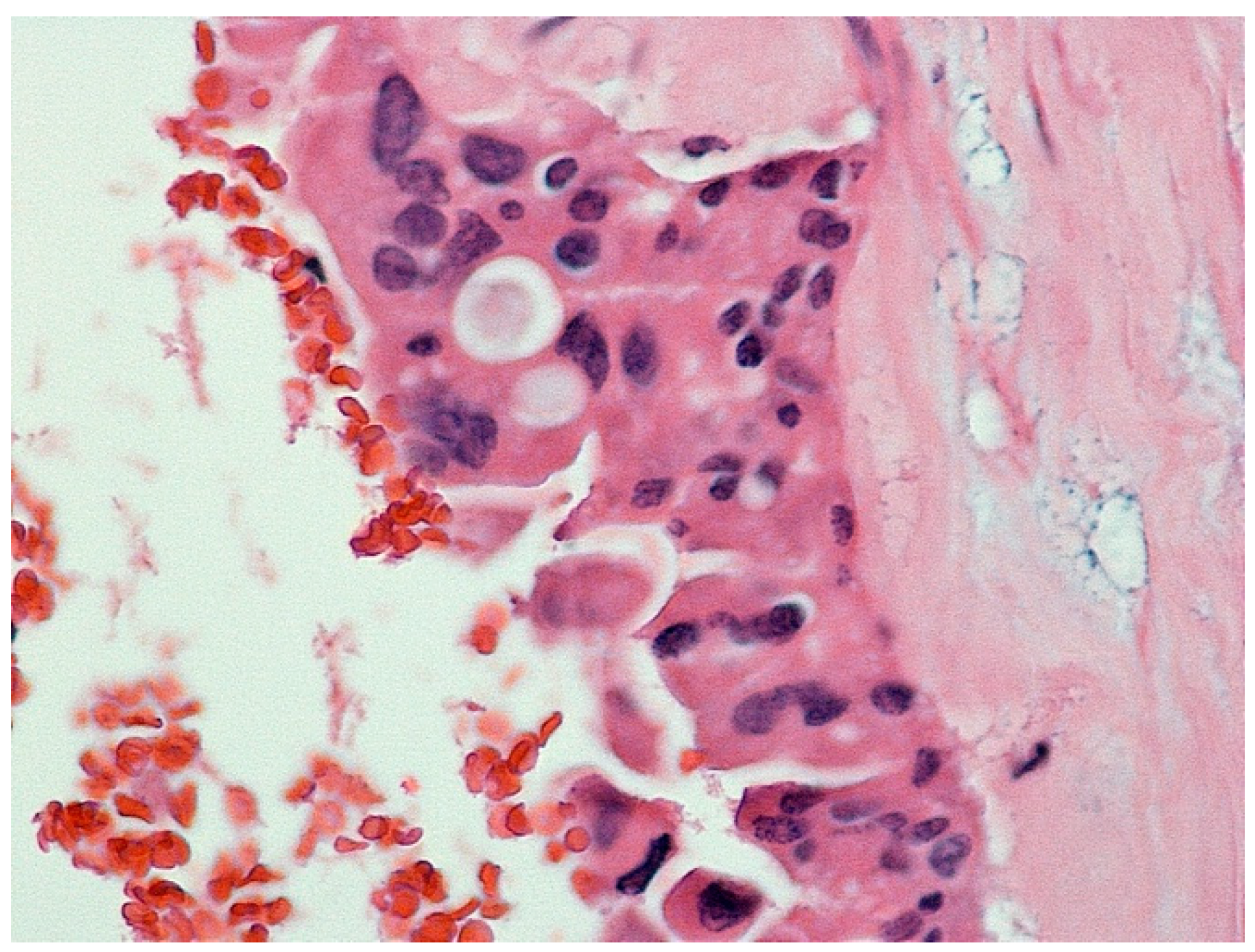 Clinpract 14 00133 g004