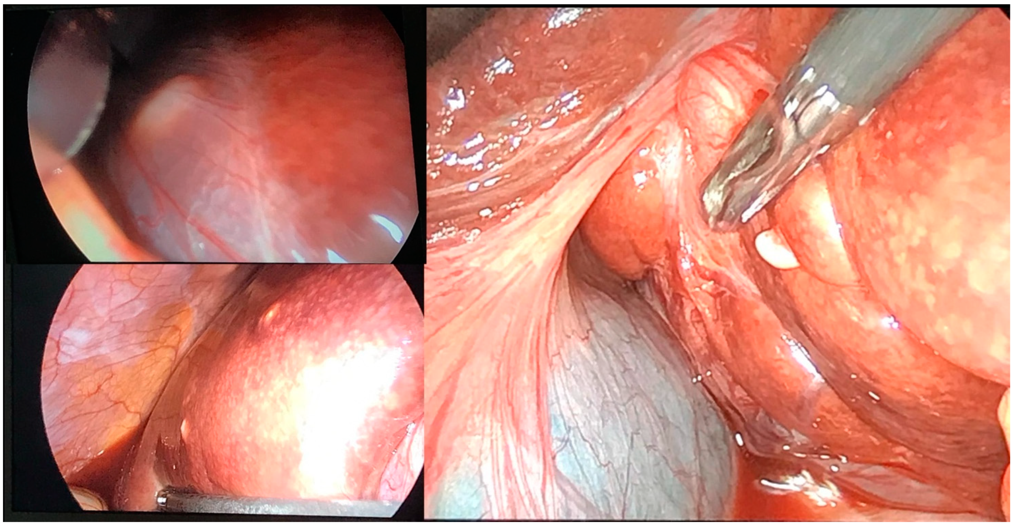 Clinpract 14 00133 g008