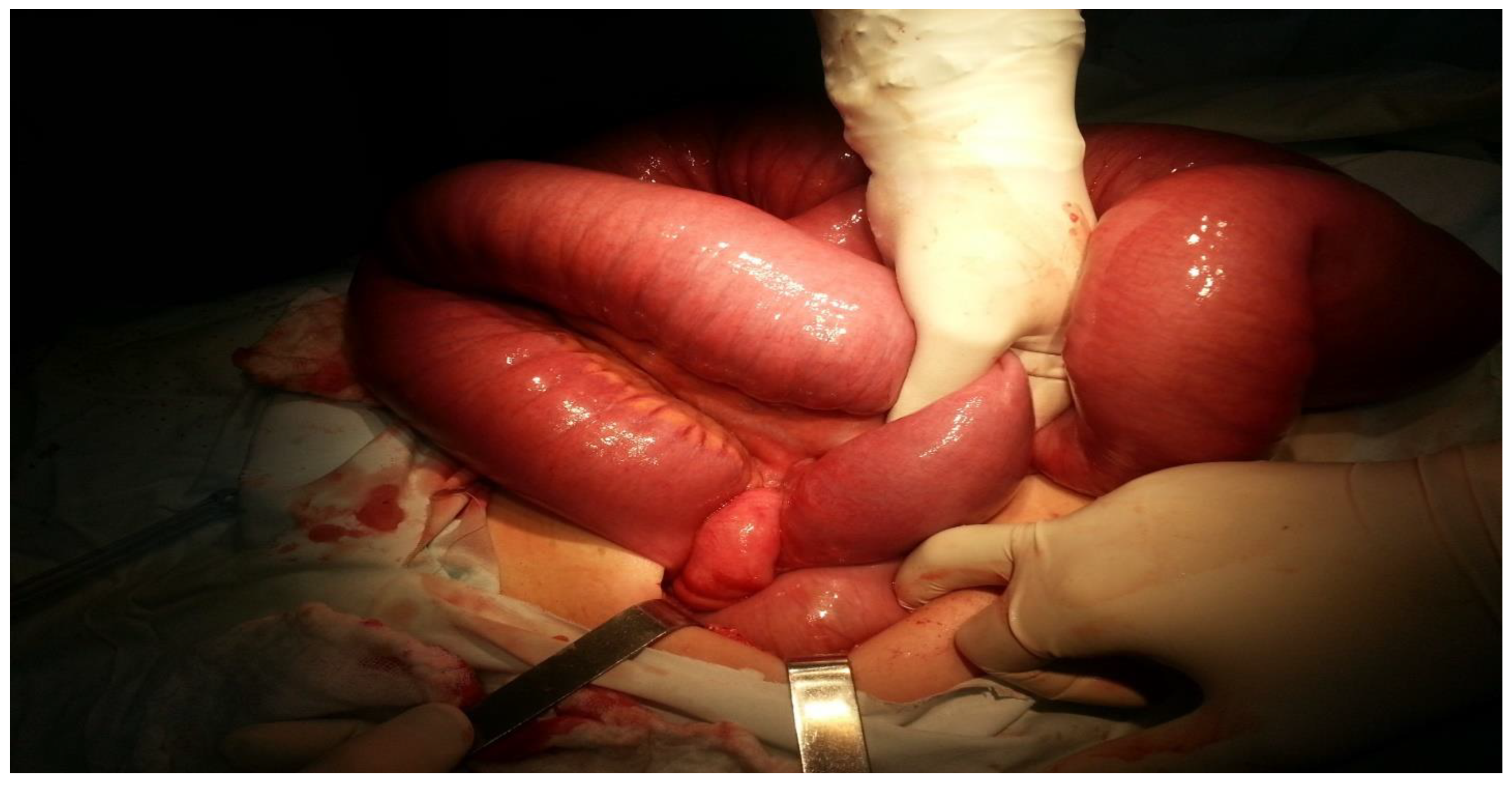 Clinpract 14 00160 g006