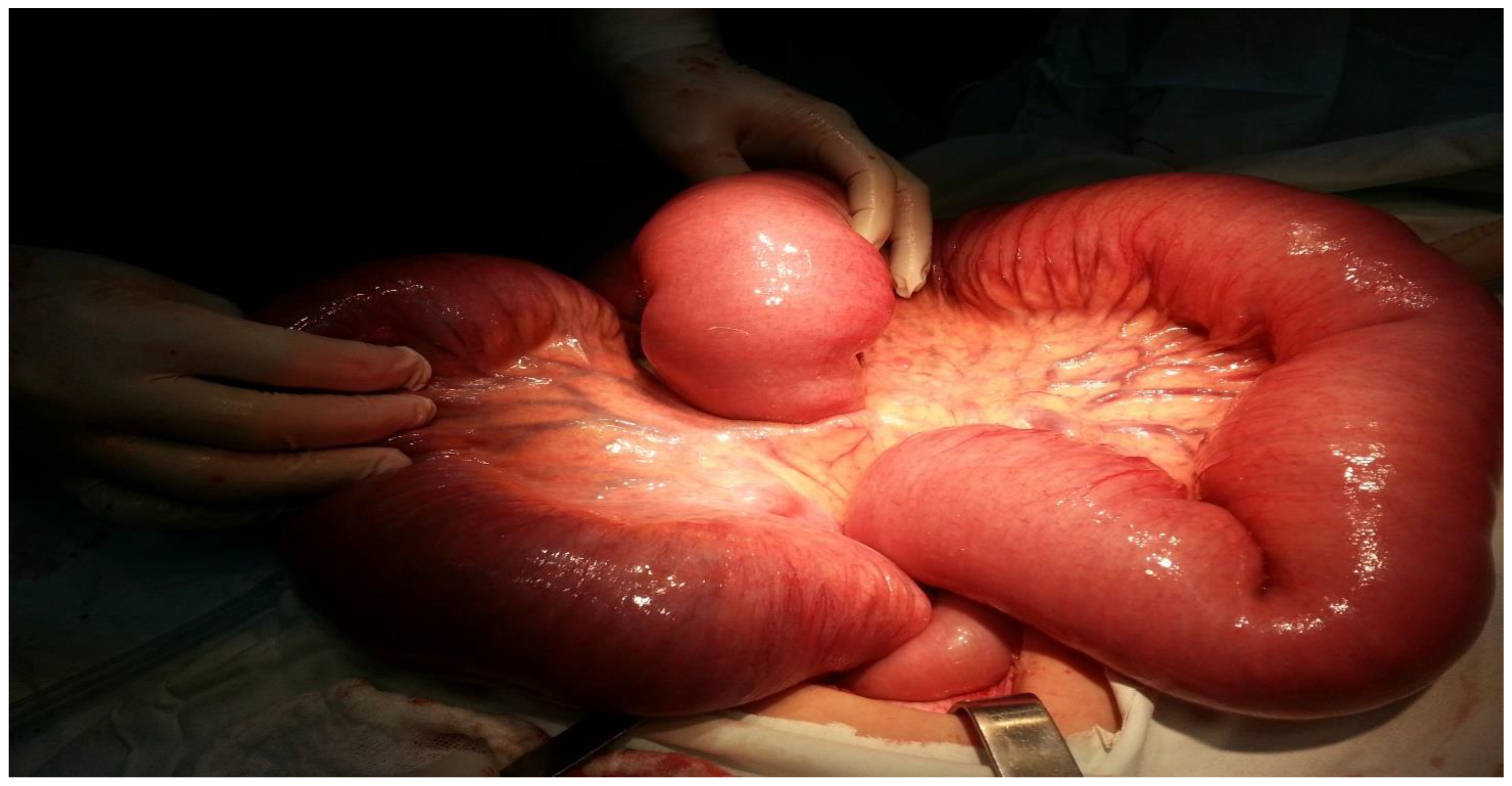 Clinpract 14 00160 g007