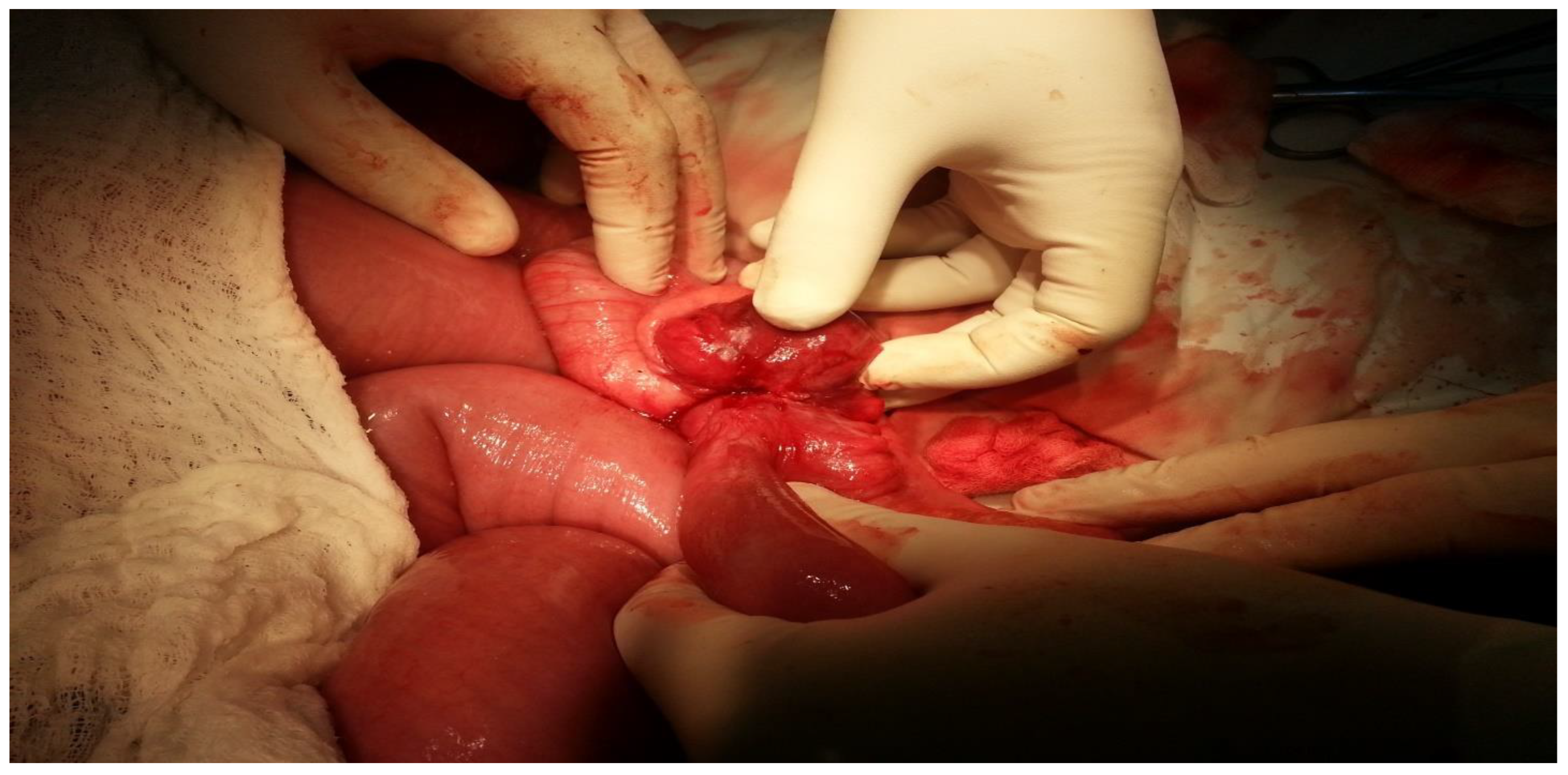 Clinpract 14 00160 g009