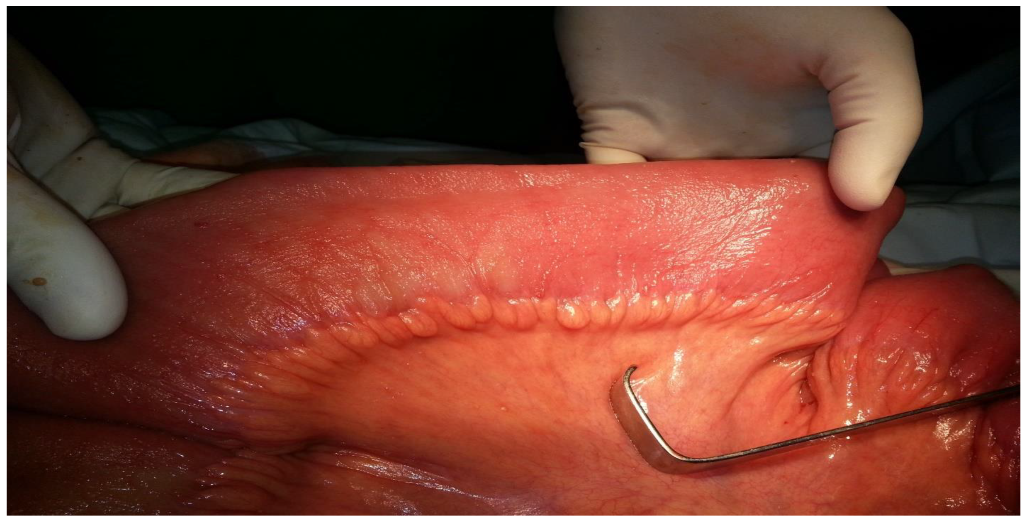 Clinpract 14 00160 g010