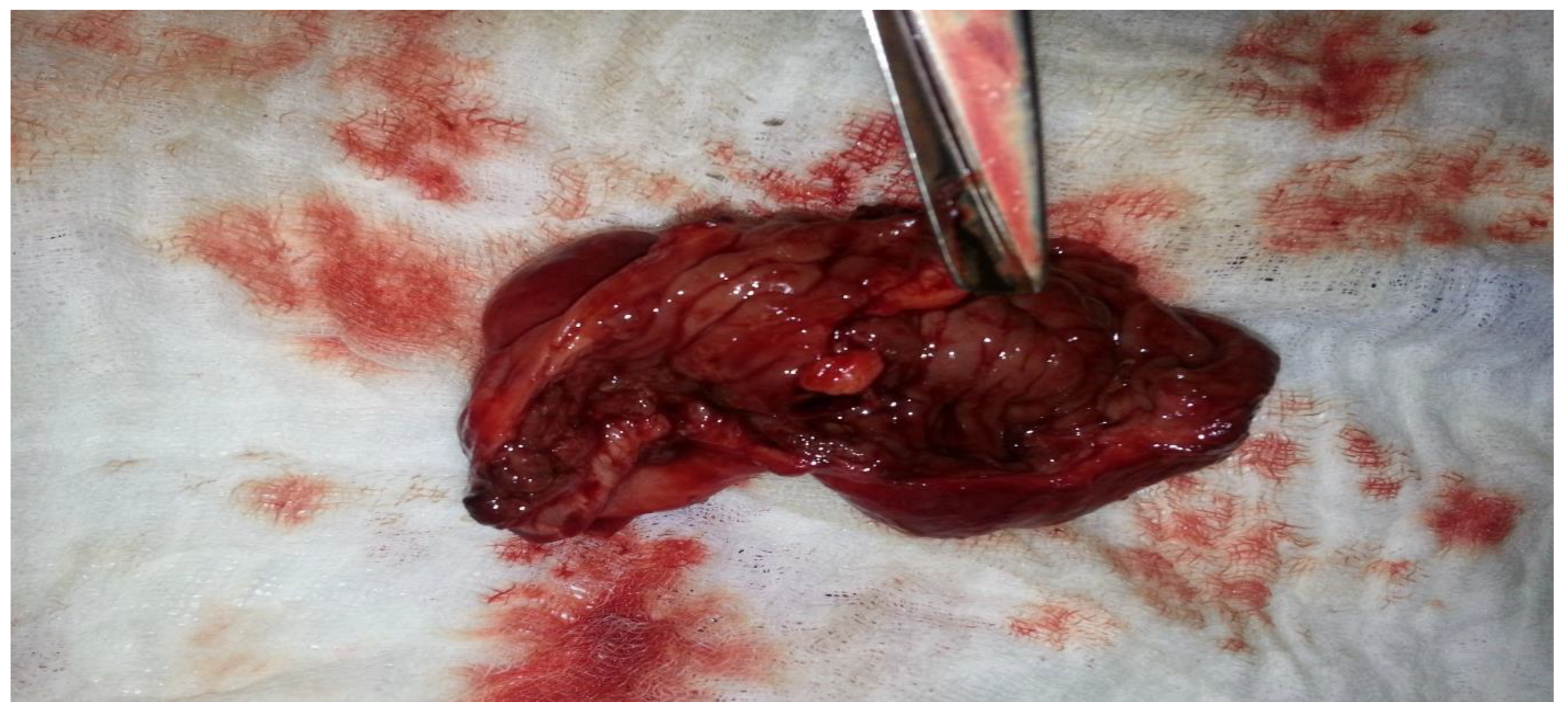 Clinpract 14 00160 g011