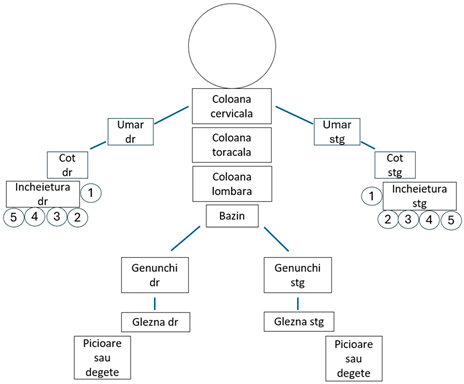 Clinpract 14 00168 i008