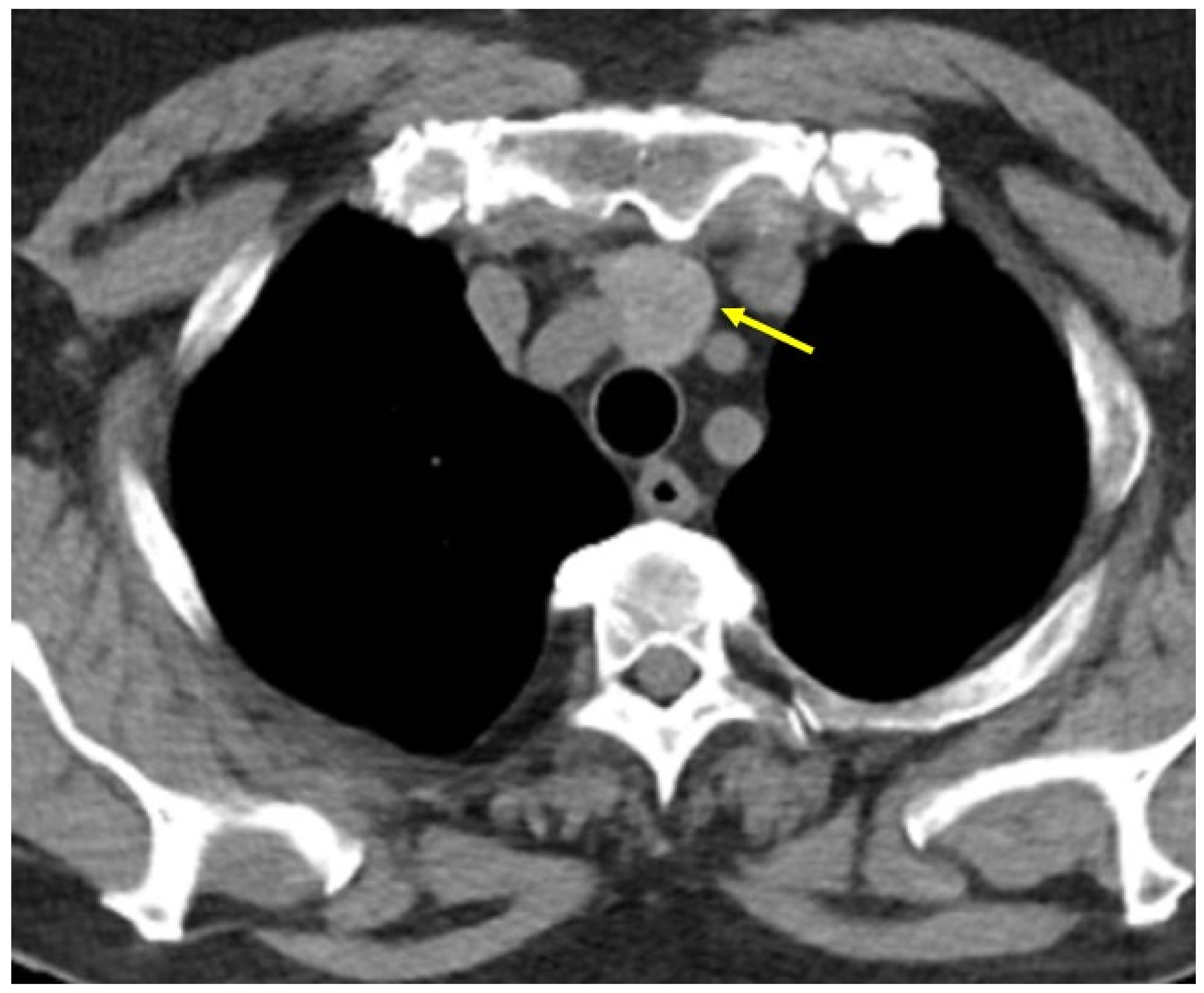 Clinpract 14 00175 g001