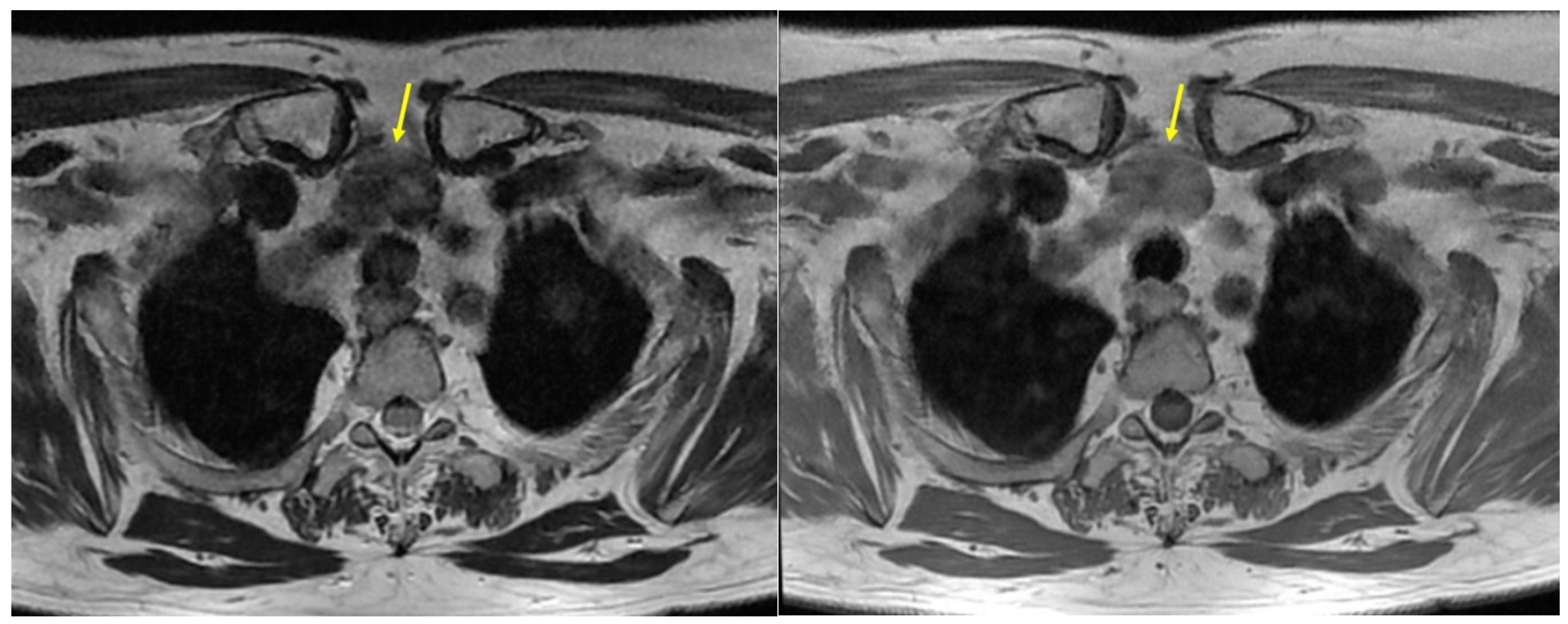 Clinpract 14 00175 g002