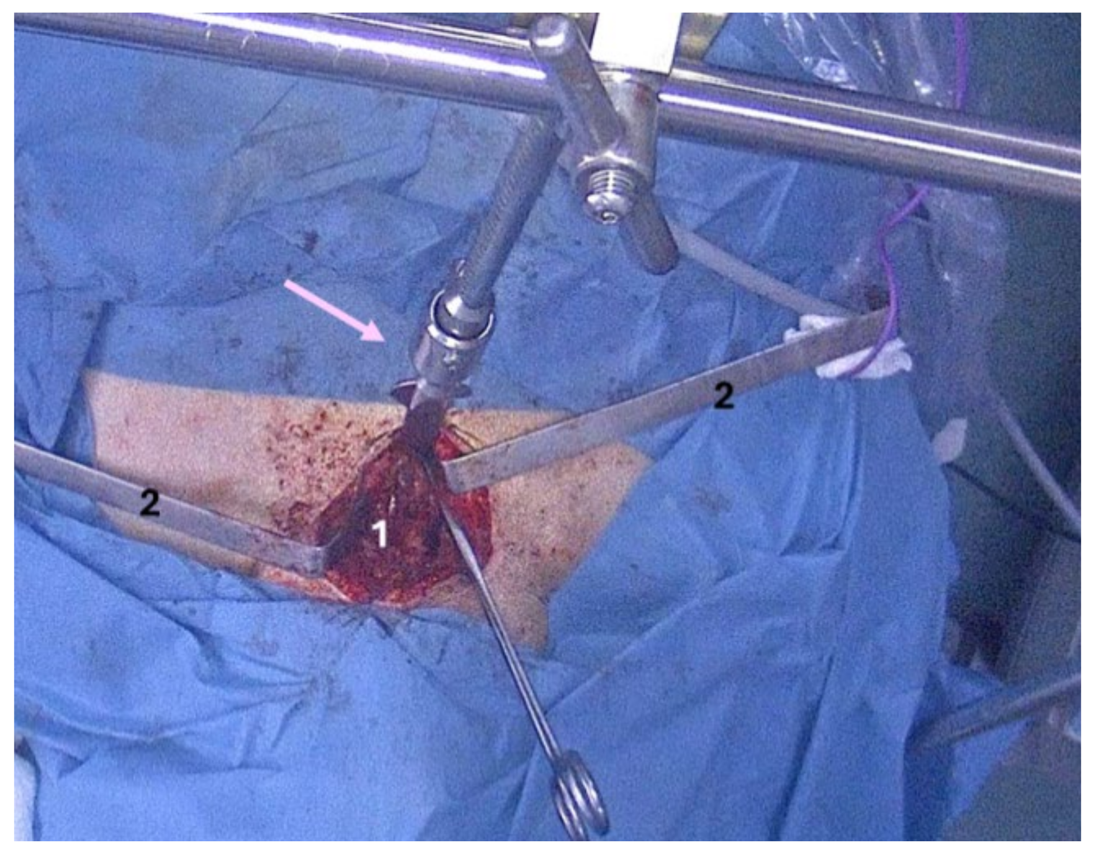 Clinpract 14 00175 g007