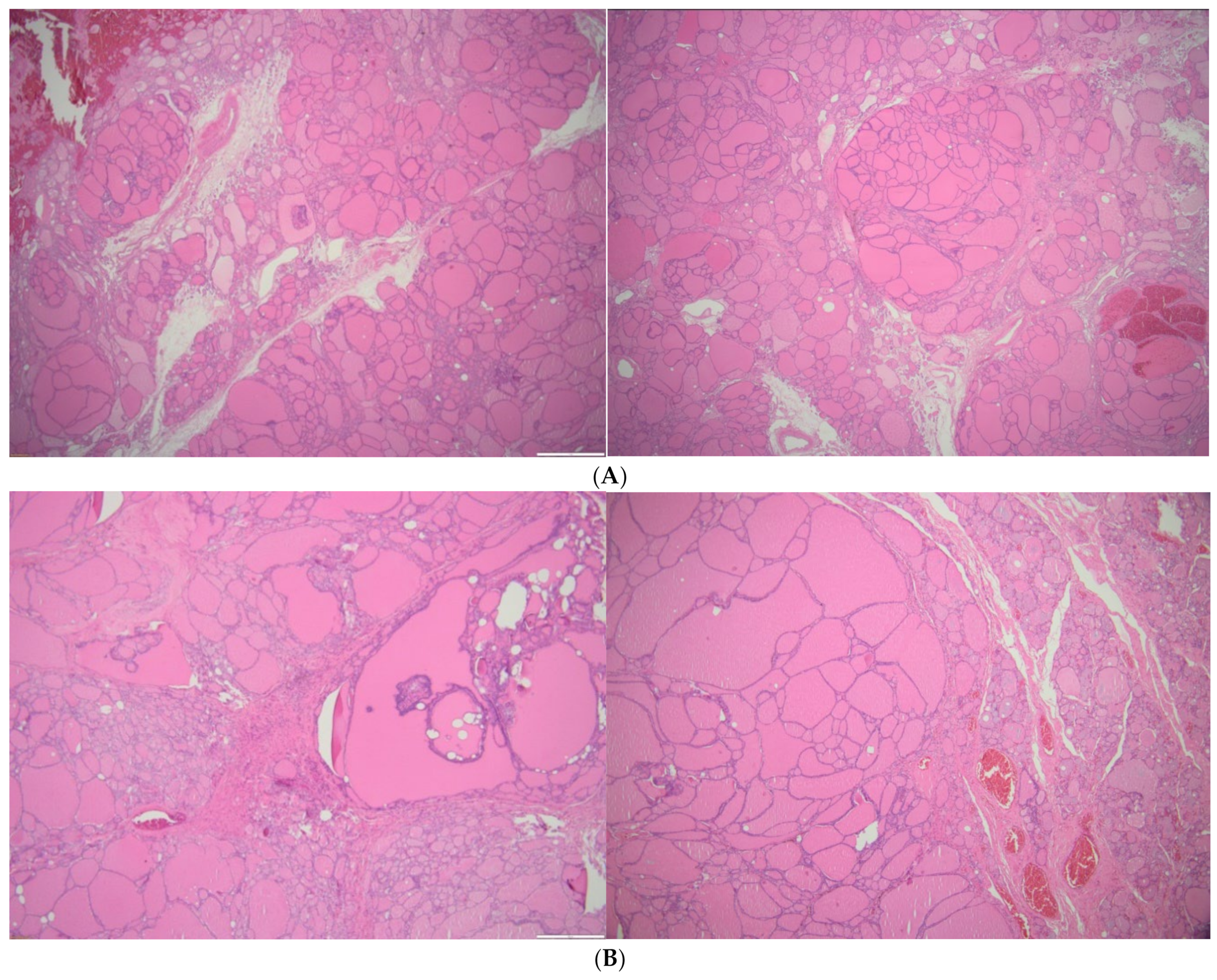Clinpract 14 00175 g009