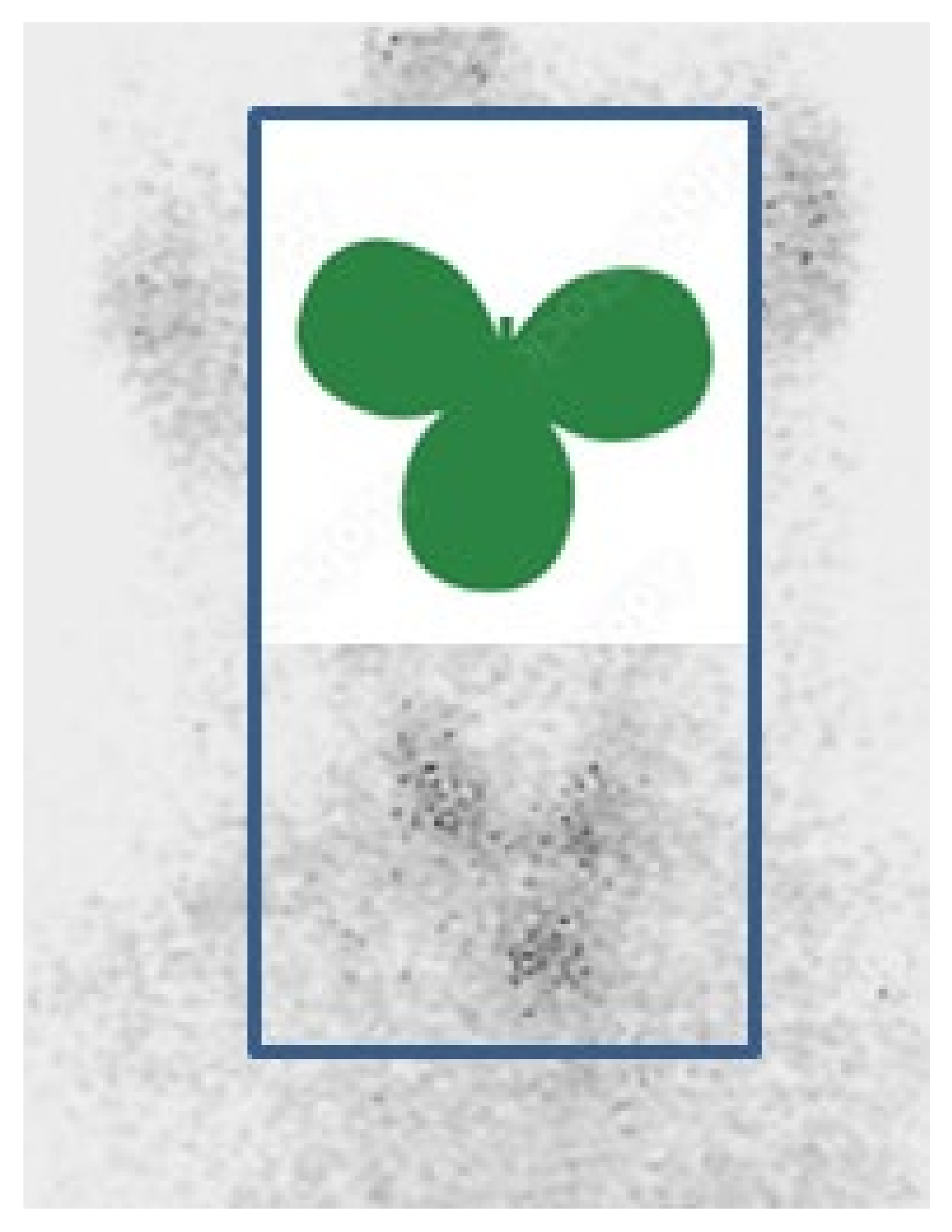 Clinpract 14 00175 g012