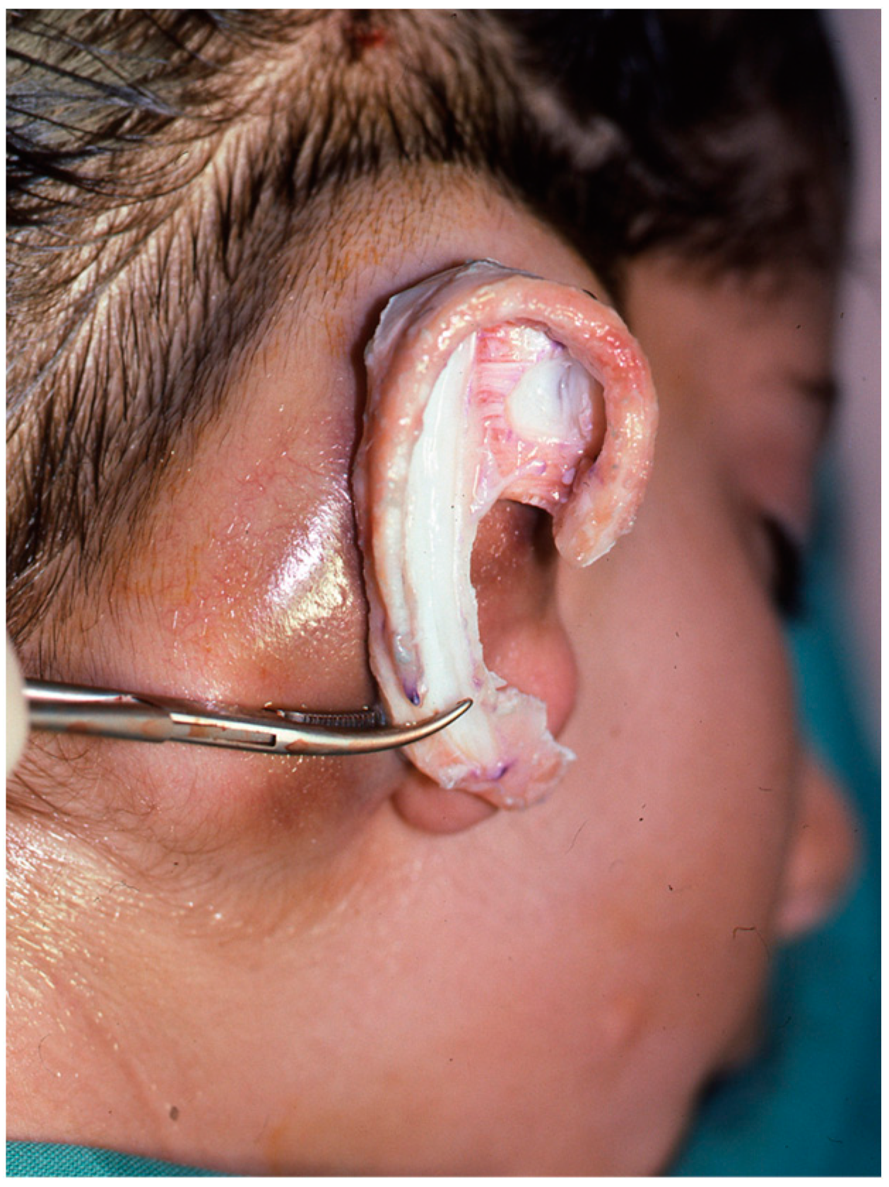 Clinpract 14 00188 g006