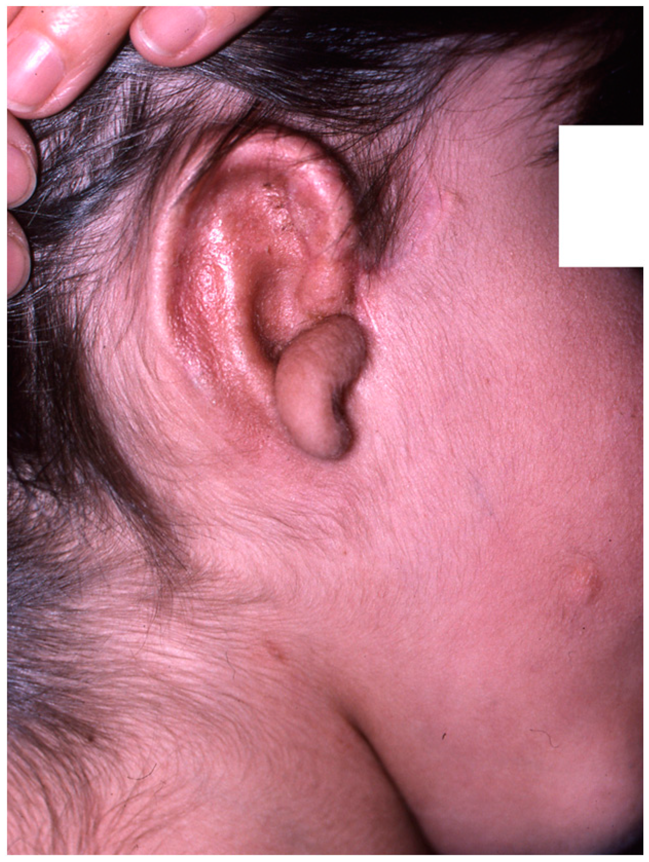 Clinpract 14 00188 g008