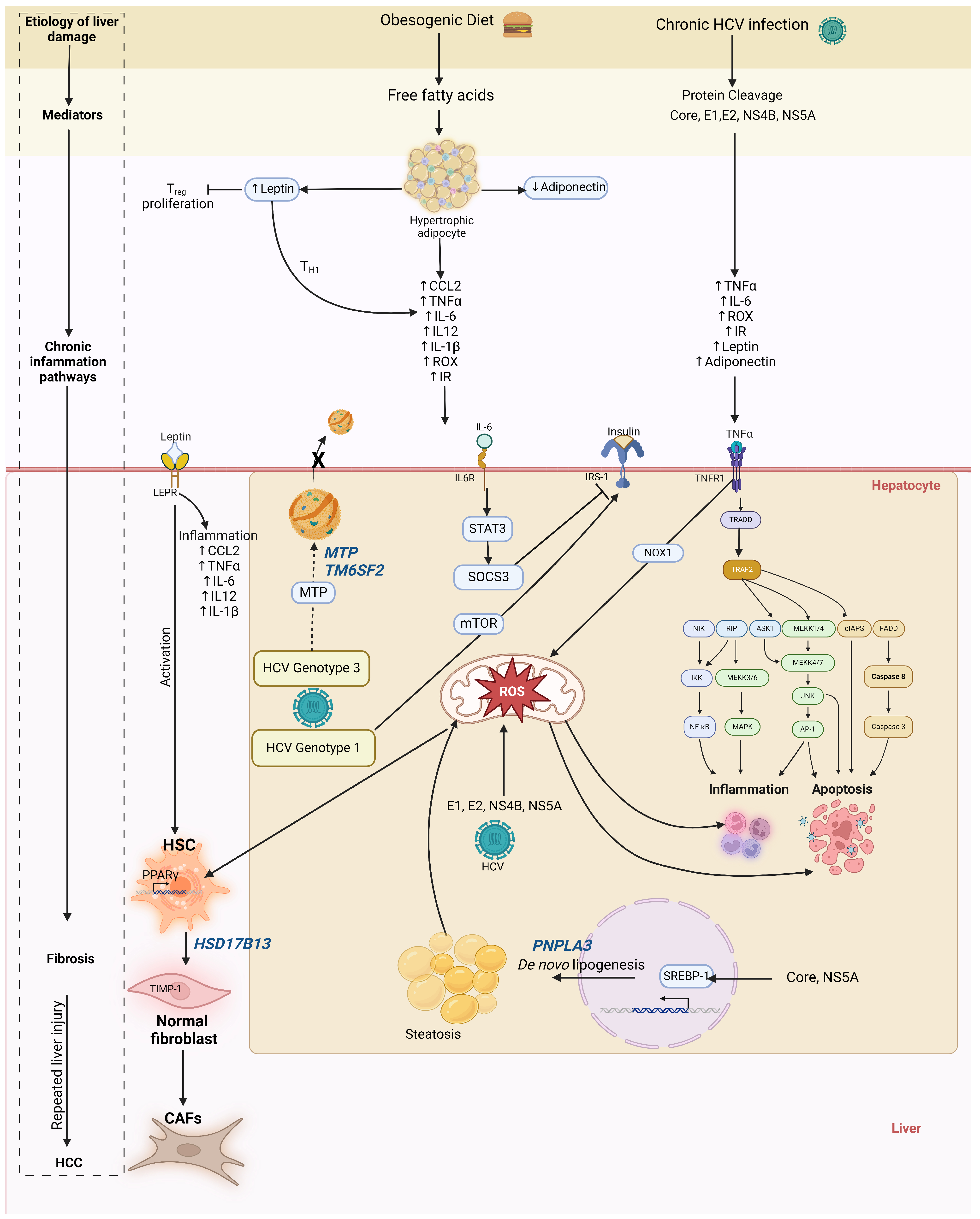 Clinpract 14 00200 g001