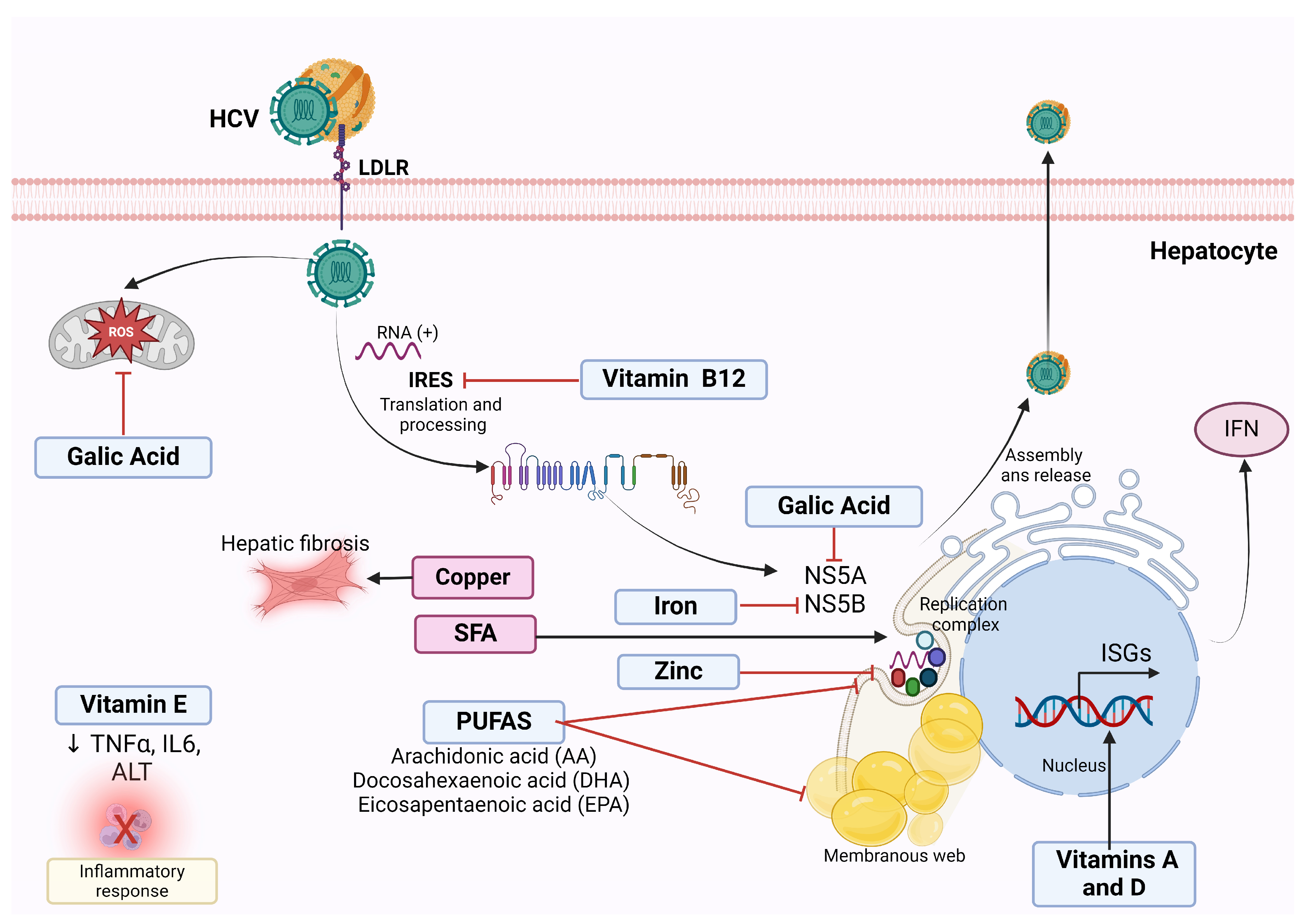 Clinpract 14 00200 g003