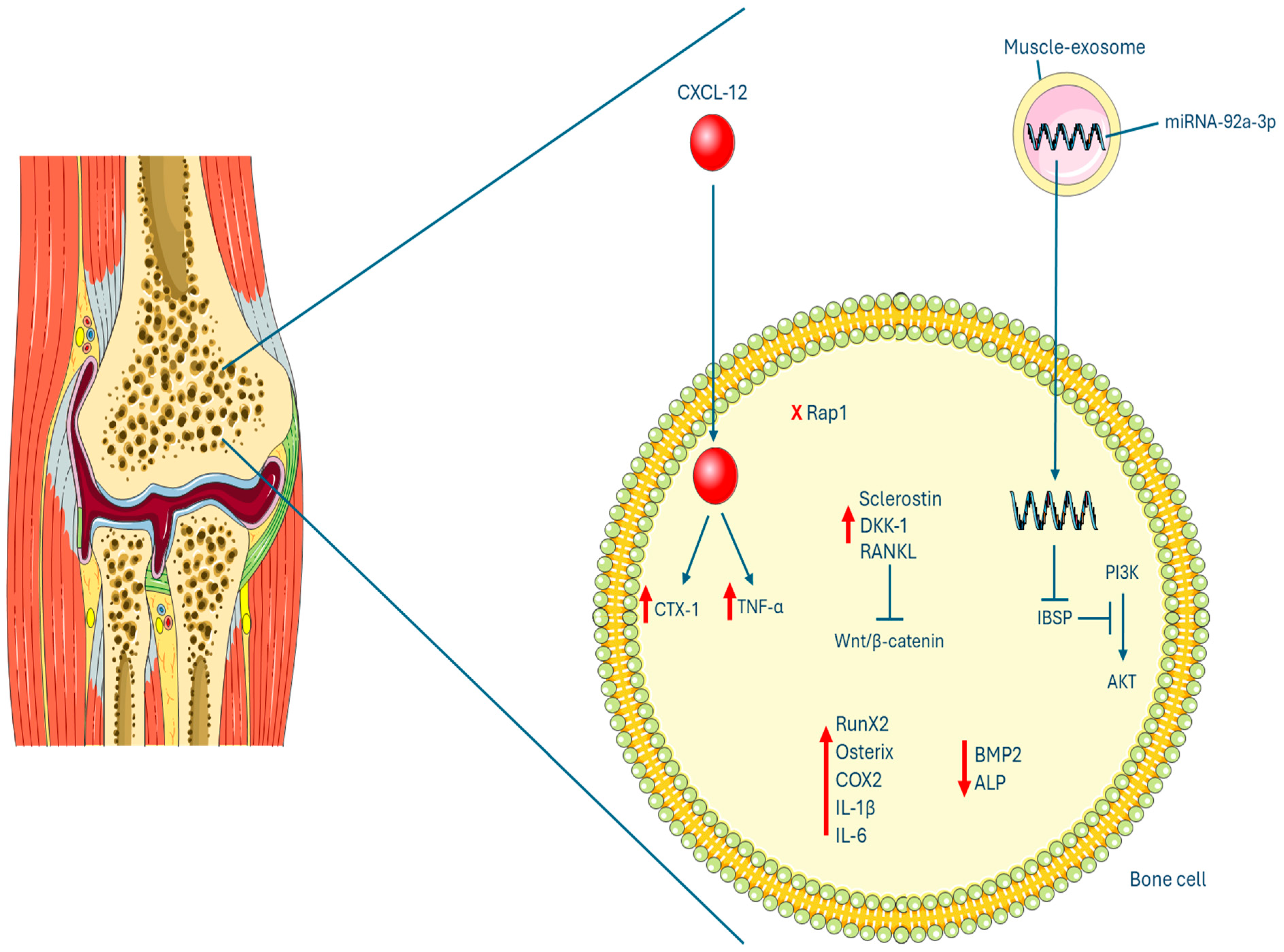 Clinpract 14 00216 g004