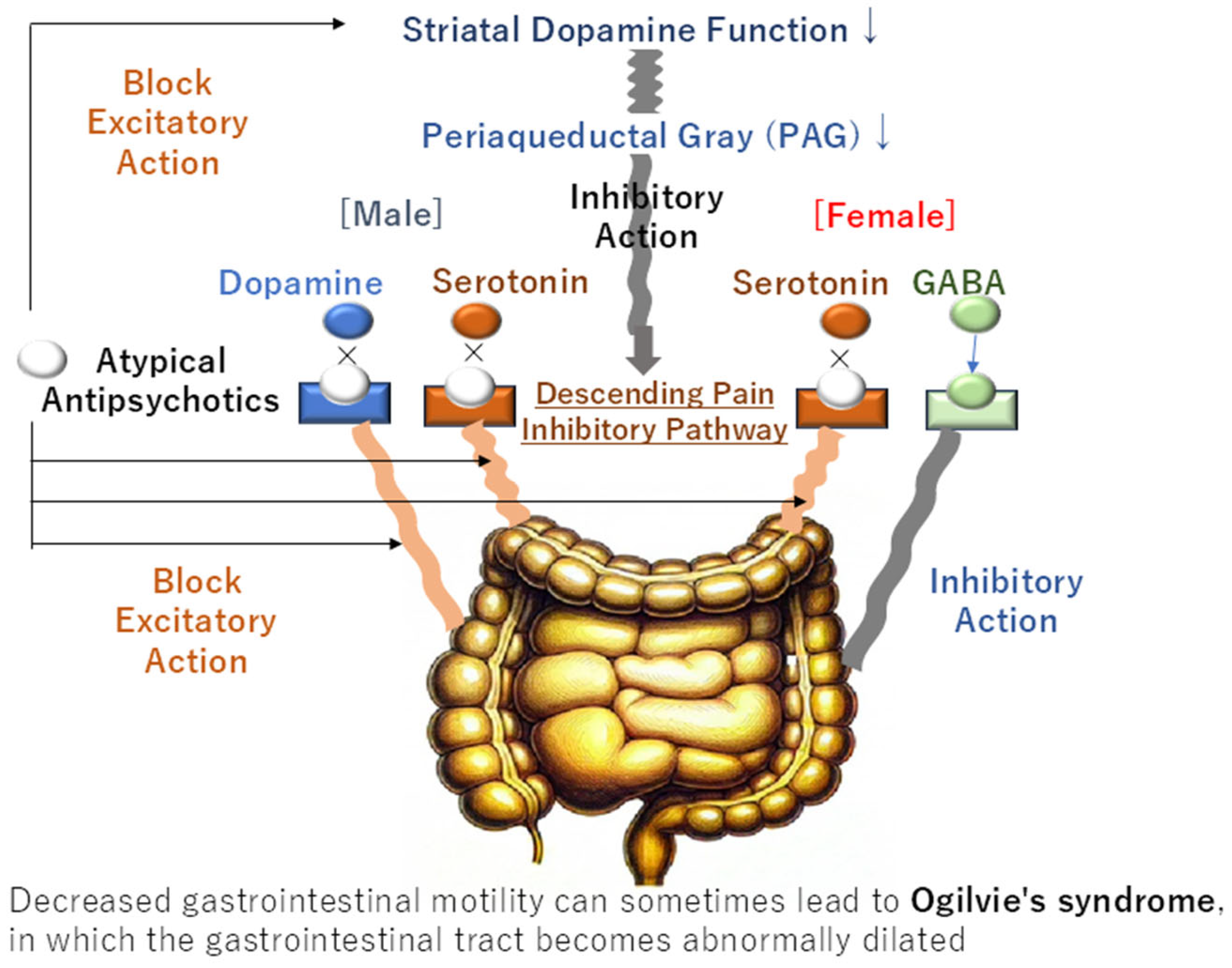 Clinpract 15 00033 g003
