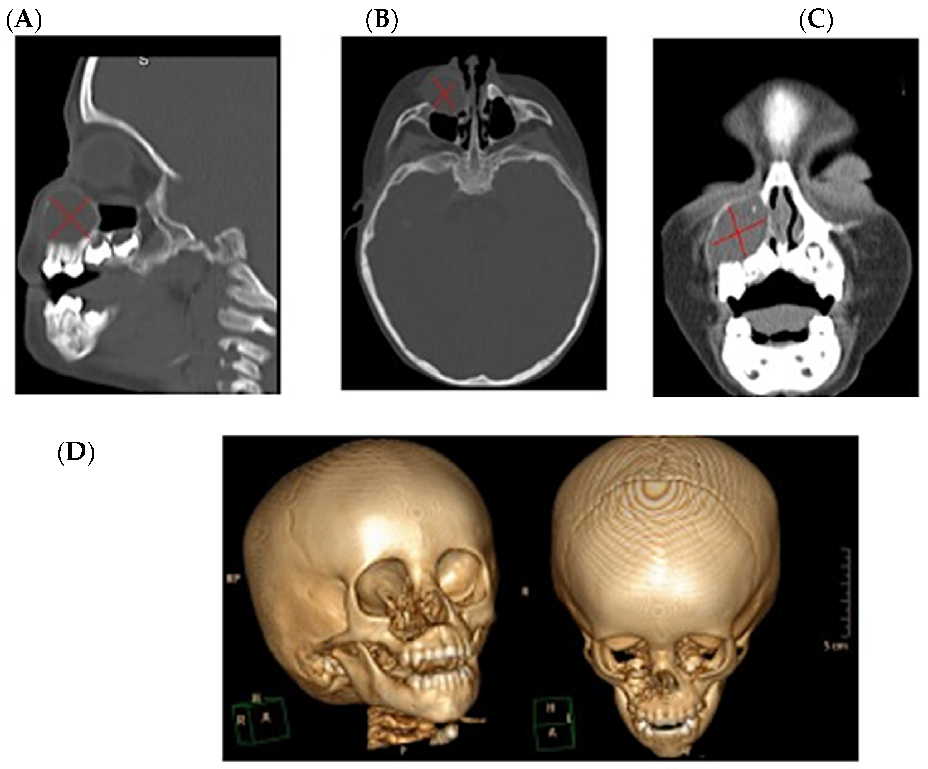 Clinpract 15 00039 g001