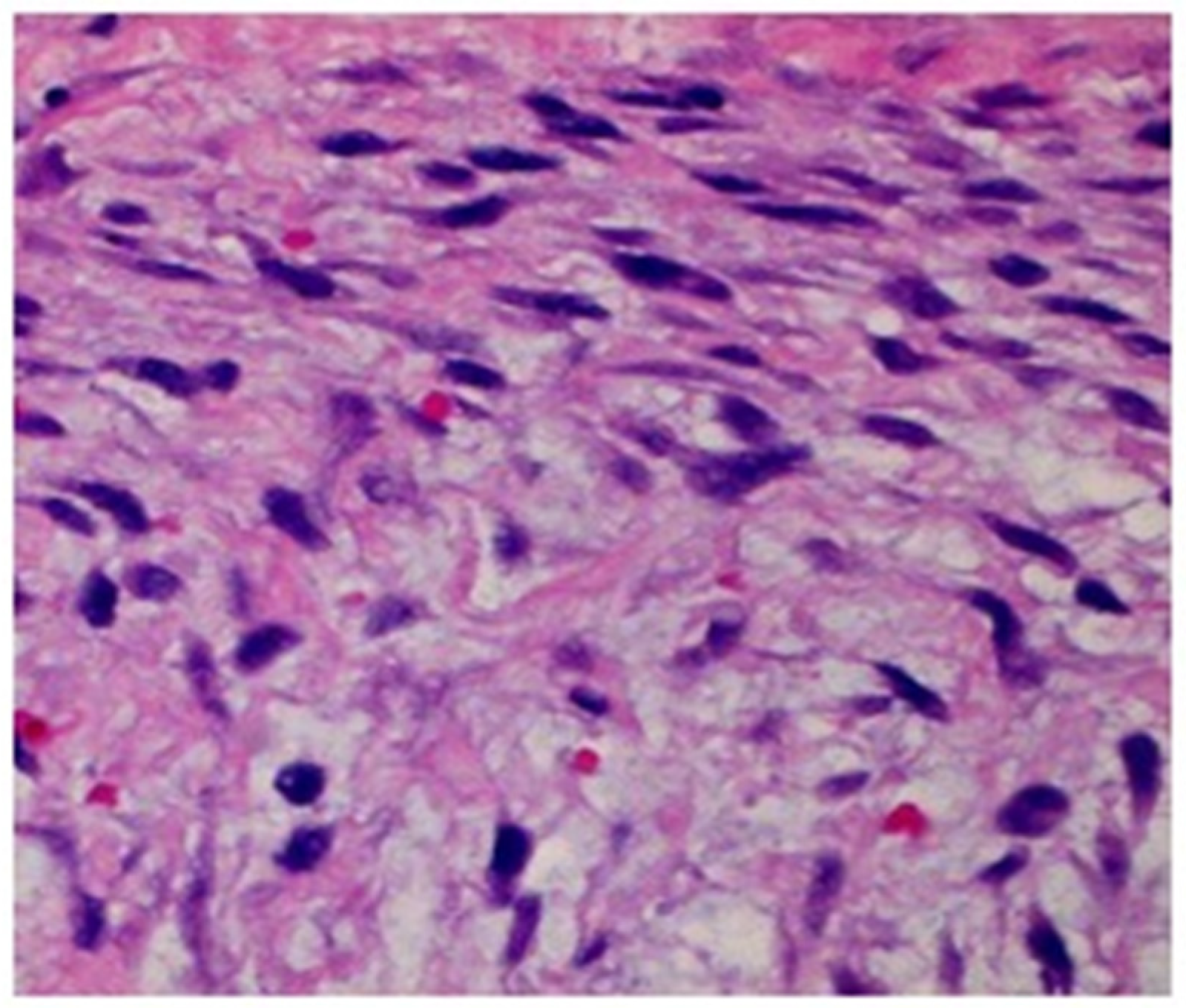 Clinpract 15 00039 g002